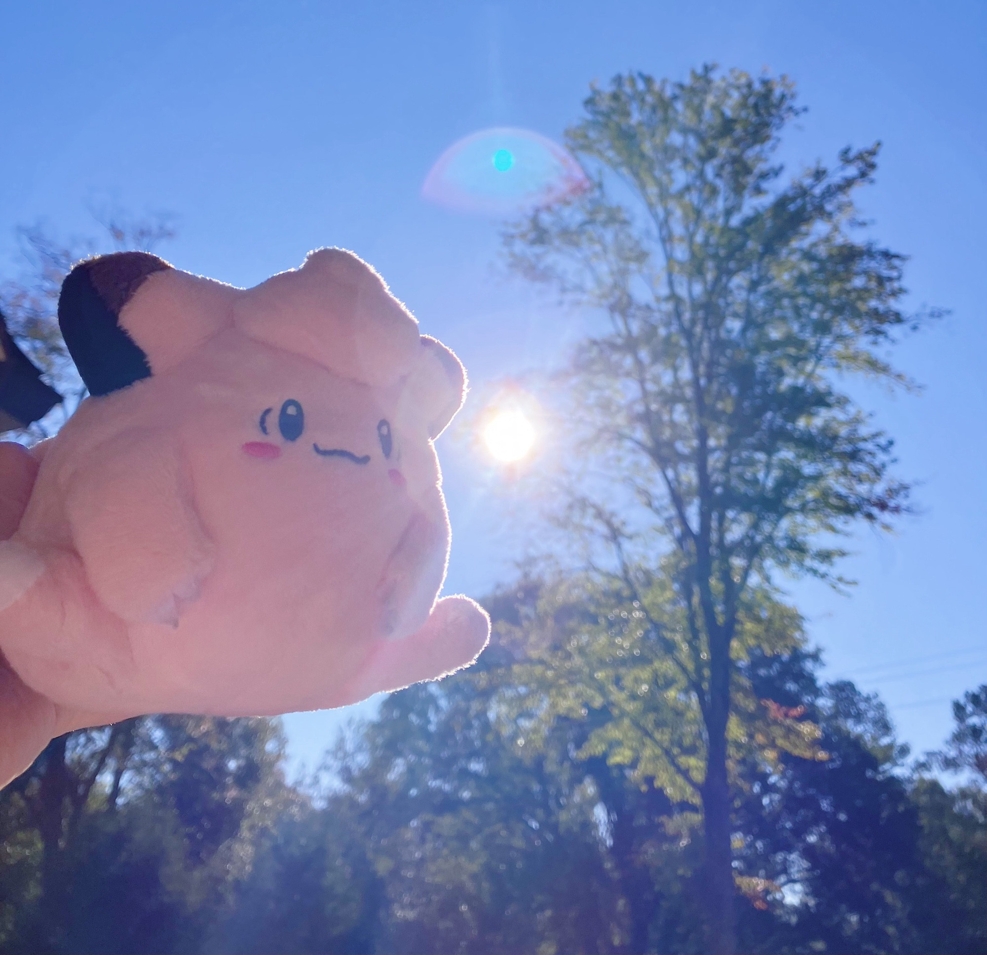 sitting clefairy viewing the sky