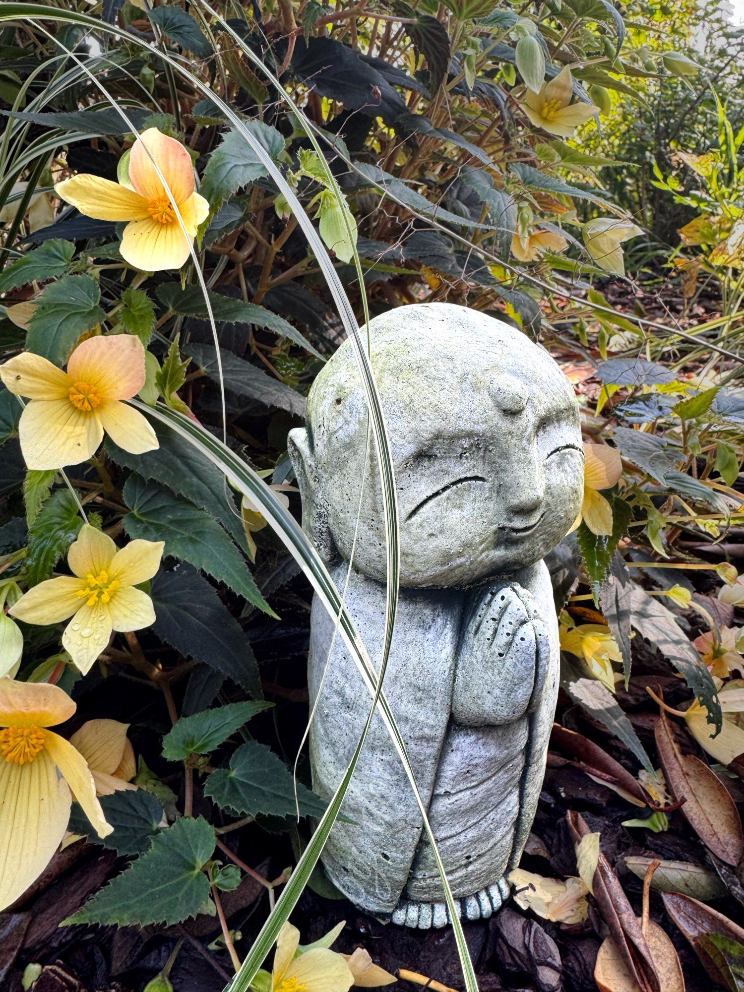 Kleiner Mönch mit gefalteten Händen,aus Zement, vor einer gelbblühenden Begonie
stehend im Laub 🍂 die Blüten wirken wie kleine Sterne!
Dankbarkeit um jeden Tag 🙏