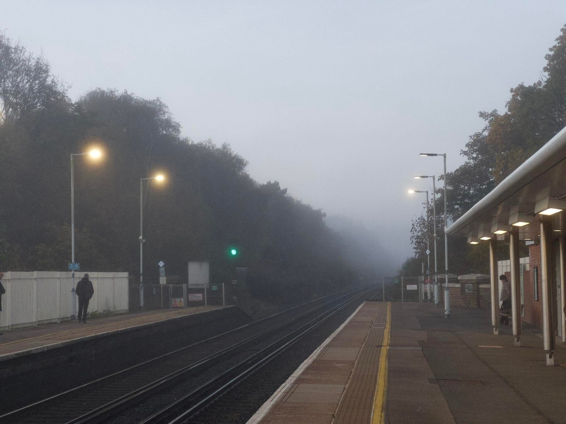 A misty train station platform is depicted with overhead lights glowing and a few people waiting alongside the tracks surrounded by trees.