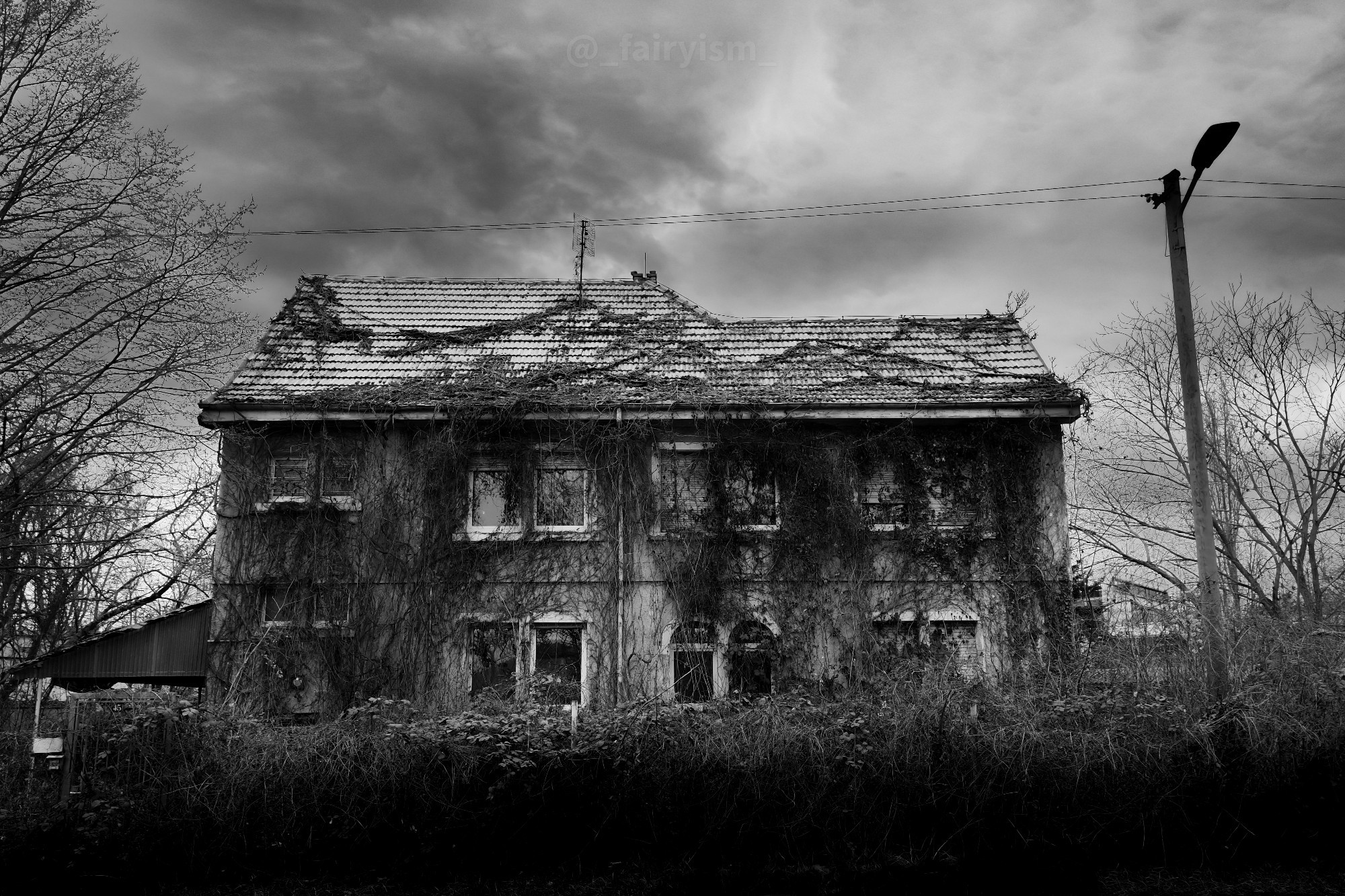 Black and white capture of an abandoned family house surrounded by bushes and trees. The facade of the house is already covered in plant vines.