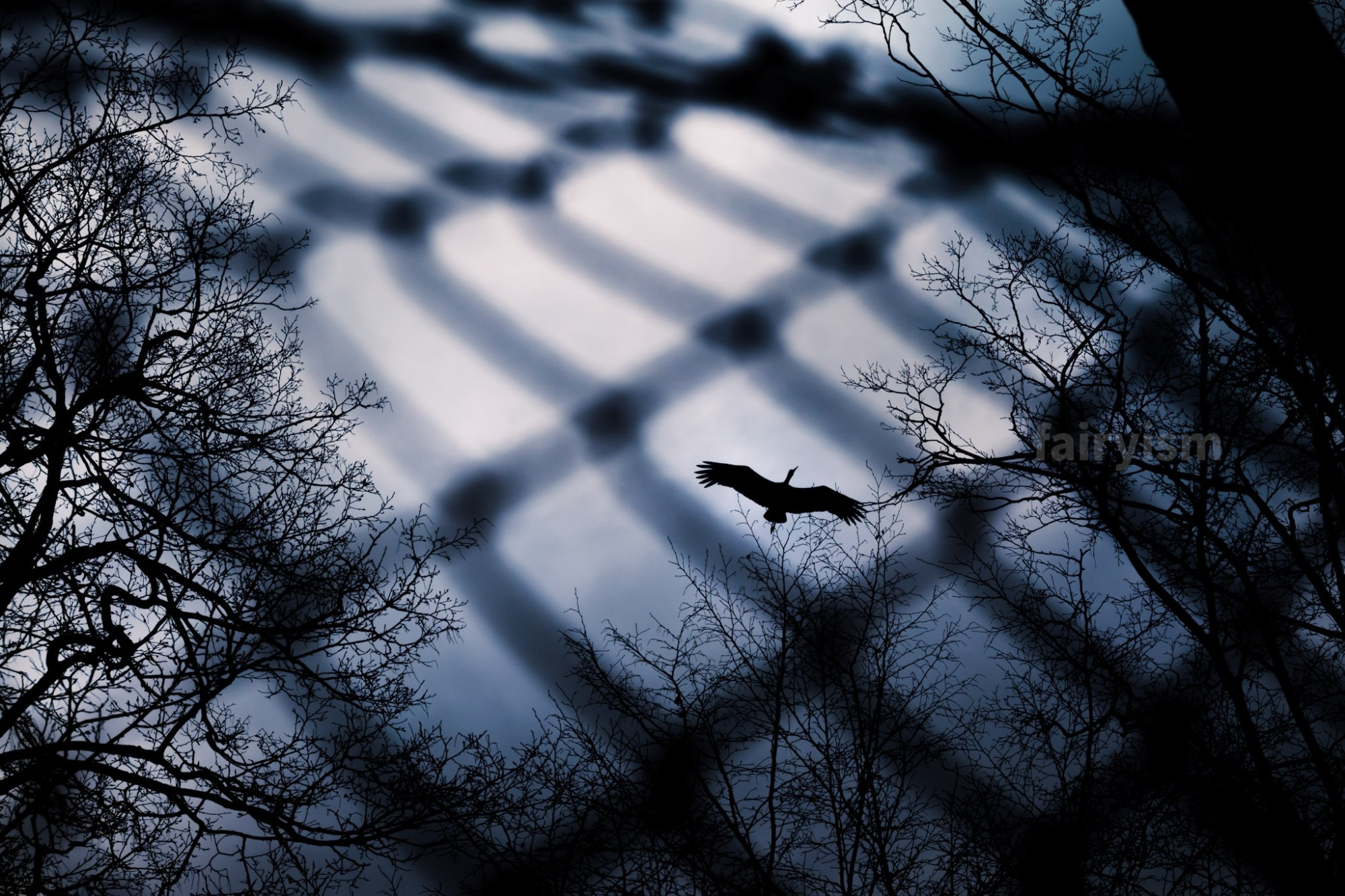 Blue toned capture of a stork, flying towards the sky, taken through the gaps of a wire mesh fence. On the left and right side of the photo are the bare silhouettes of trees.