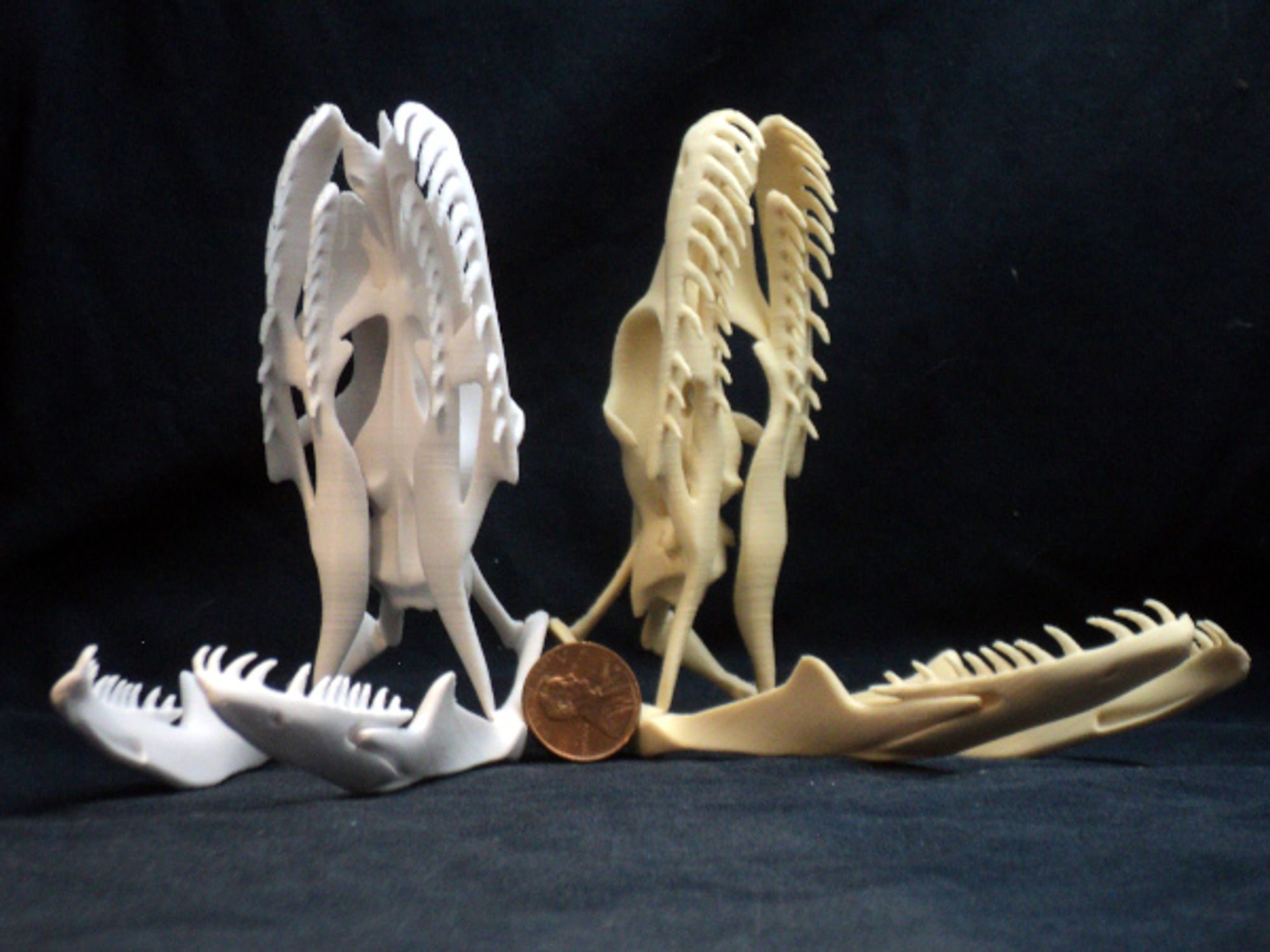 Two 3d printed python skull with open mouths. On the right in tan, on the left in white, with a US penny in the middle.