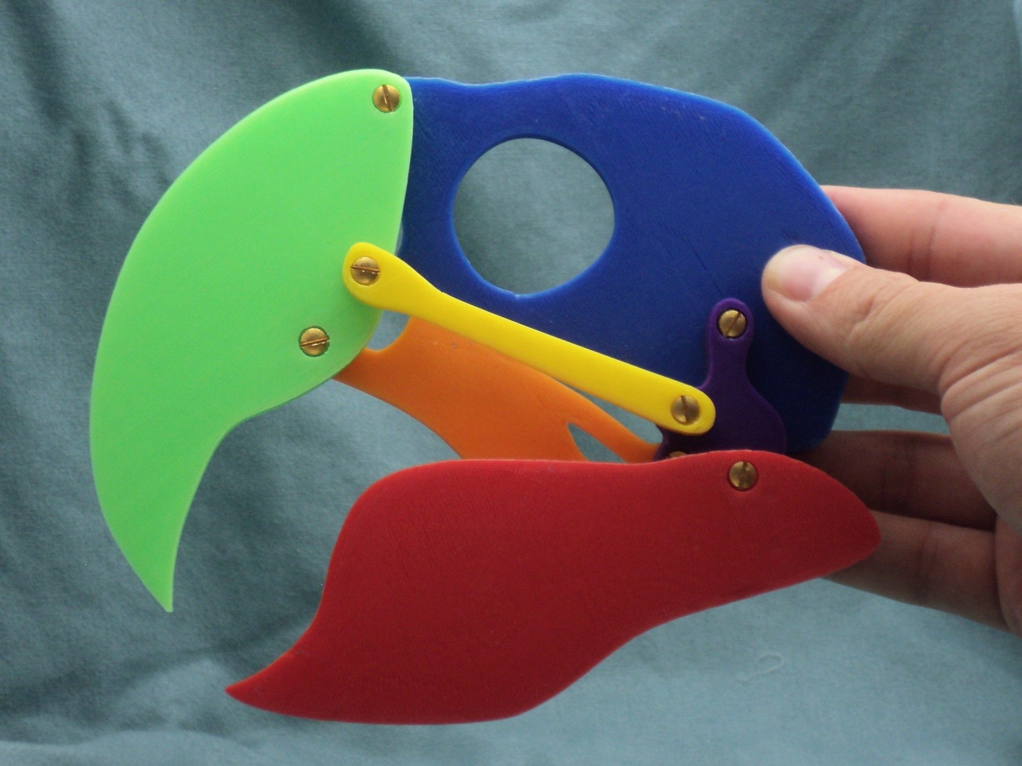 A 3d printed model of a for demonstrating the movement of a macaw skull, with different parts in different colors.