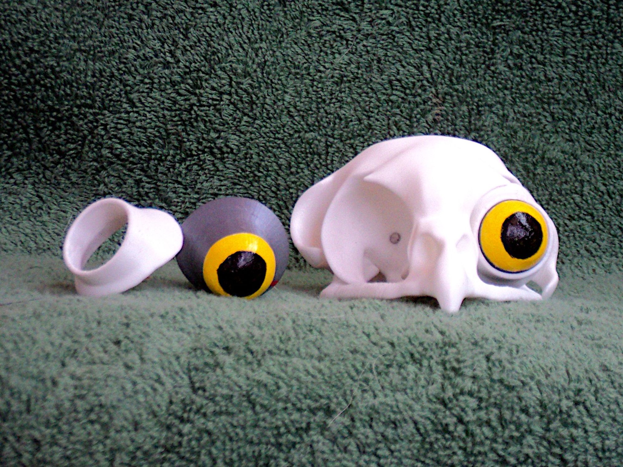 A 3d printed owl skull model with removable eyeballs and sclerotic rings. On the right is the skull, facing front, with it's left eyeball and sclerotic ring in place. It's right eyeball and scletotic ring are removed from the skull and sitting on the left side of the image.