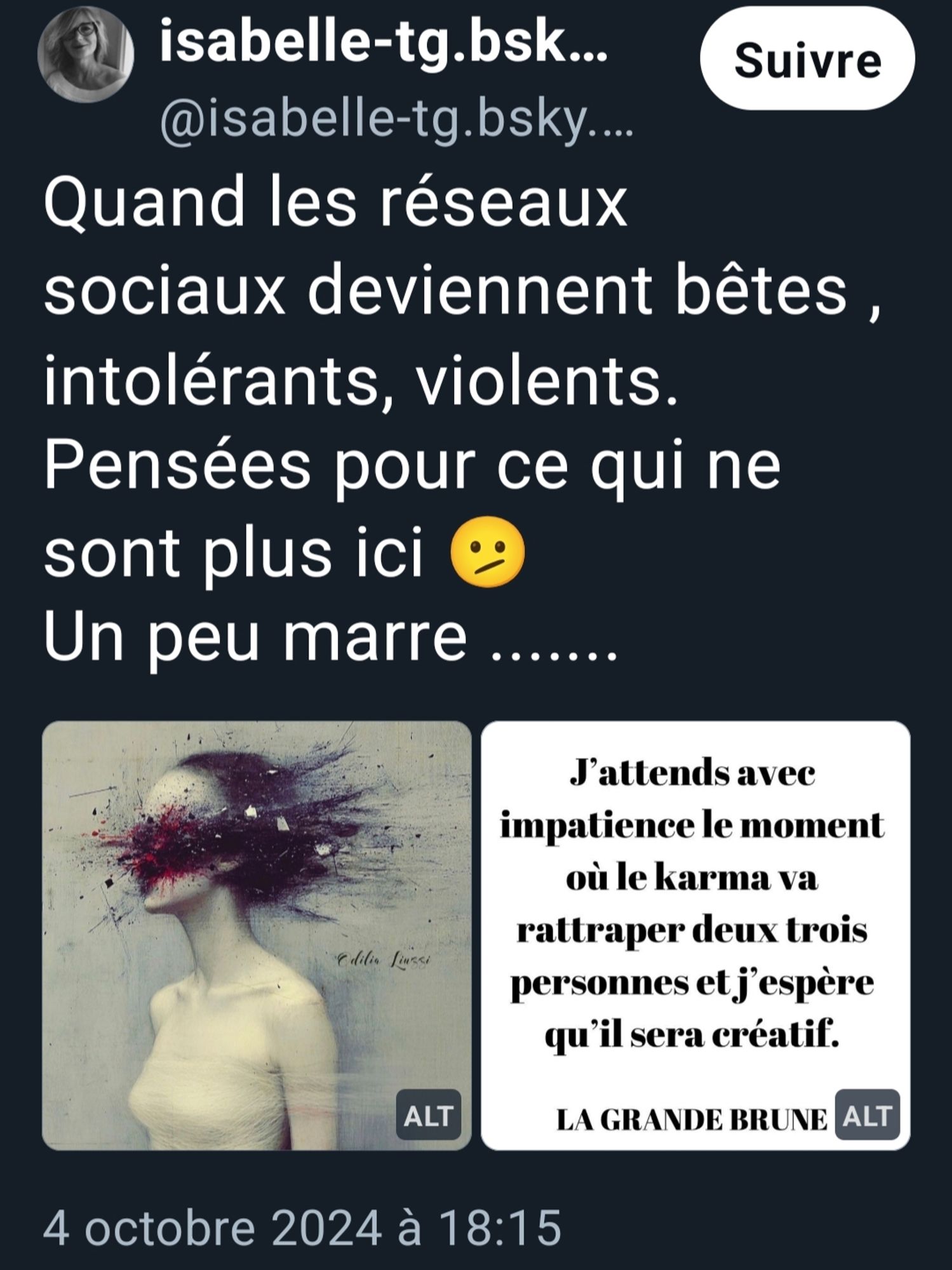 Post de isabelle-tg.bsky.social montant deux images. Une femme au visage explosé et en sang, et un texte "j'attends avec impatience le moment où le karma va rattraper deux trois personnes et j'espère qu'il sera créatif".

Texte du skeet "quand les réseaux sociaux deviennent bêtes, violents, intolérants. Pensées pour ce qui ne sont plus ici. Un peu marre...