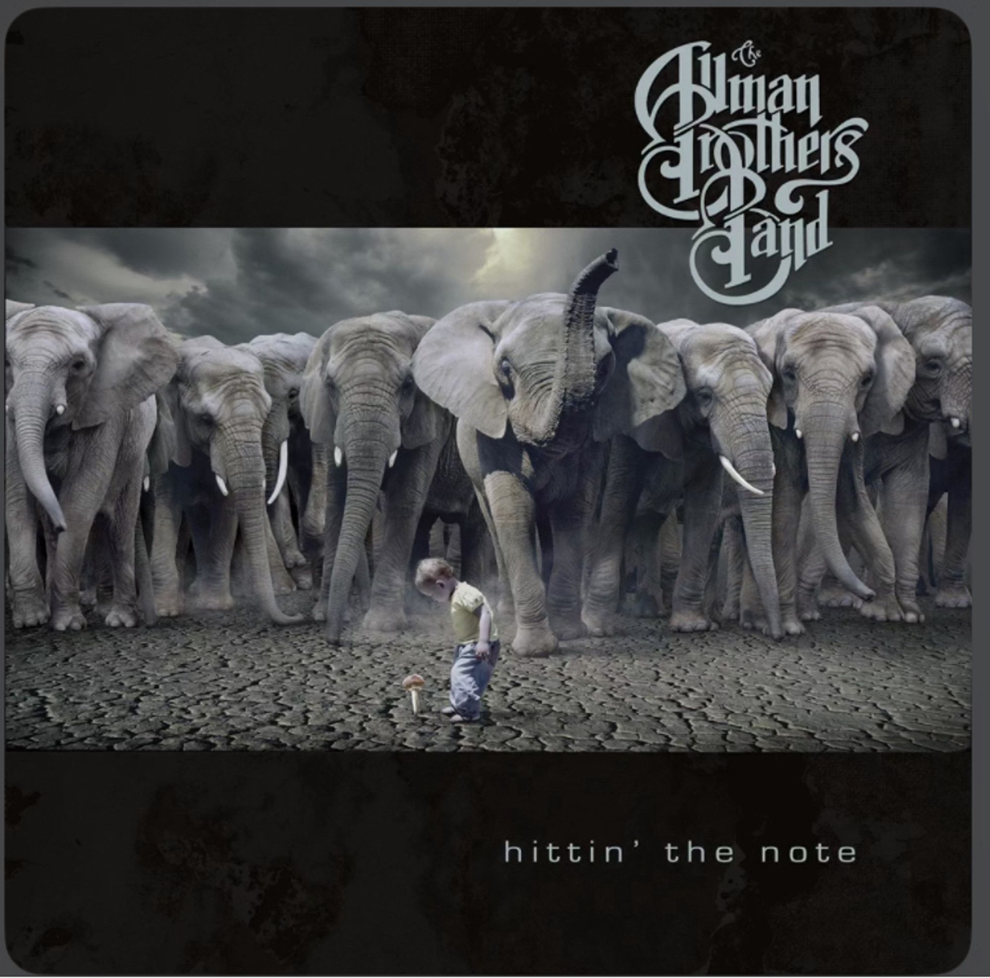 The Allman Brothers Band
Album: hittin’ the note (song Firing Line)
March 2003
Cover Art
Grey scale image
In the foreground a toddler, standing on an arid, cracked earth, intently looking down at a pale coloured flower growing at his feet.
In the immediate background, just steps away, a stampeding horde of elephants.
Beyond this, a cataclysmic storm sky