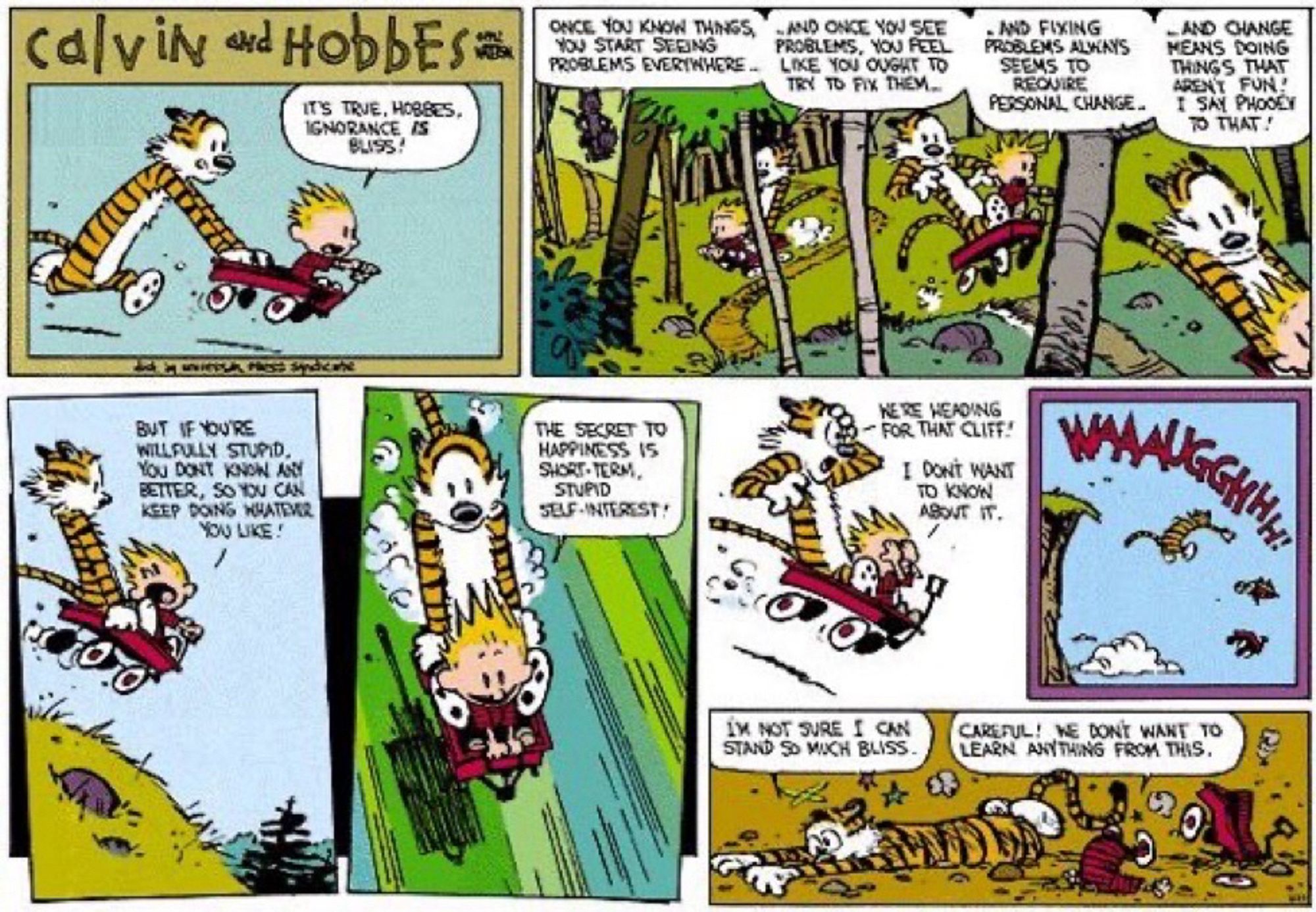 [HOBBES IS RUNNING AT TOP SPEED THRU THE COUNTRYSIDE, PUSHING CALVIN WHO’S SEATED IN THE FRONT OF A RED WAGON]

CALVIN:
IT'S TRUE, HOBBES.
IGNORANCE, IS BLISS!

[BOTH IN WAGON, THEY’RE FLYING THRU FOREST DODGING TREES, LEAPING OVER STREAMS]

CALVIN:
ONCE YOU KNOW THINGS, YOU START SEEING PROBLEMS EVERYWHERE

AND ONCE YOU SEE PROBLEMS,
YOU FEEL LIKE YOU OUGHT TO TRY TO FIX THEM - AND FIXING PROBLEMS ALWAYS
SEEMS TO REQUIRE PERSONAL CHANGE

AND CHANGE MEANS DOING THINGS THAT ARENT FUN. I SAY PHOOEY TO THAT.

BUT IF YOU'RE WILLFULLY STUPID, YOU DONT KNOW ANY BETTER, SO YOU CAN KEEP DOING WHATEVER YOU LIKE!

THE SECRET TO HAPPINESS IS
SHORT-TERM, STUPID SELF-INTEREST!

HOBBES:
WE’RE HEADING FOR THAT CLIFF!

CALVIN:
I DON’T WANT TO KNOW ABOUT IT!

BOTH:
[As they shoot off the edge of the cliff, falling thru the air, wagon and all]
WAAAUGGHHH!

[LAYING IN A HEAP ON THE GROUND]

HOBBES:
I’M NOT SURE I CAN STAND SO MUCH BLISS!

CALVIN:
CAREFUL! WE DON’T WANT TO LEARN ANYTHING FROM THIS.