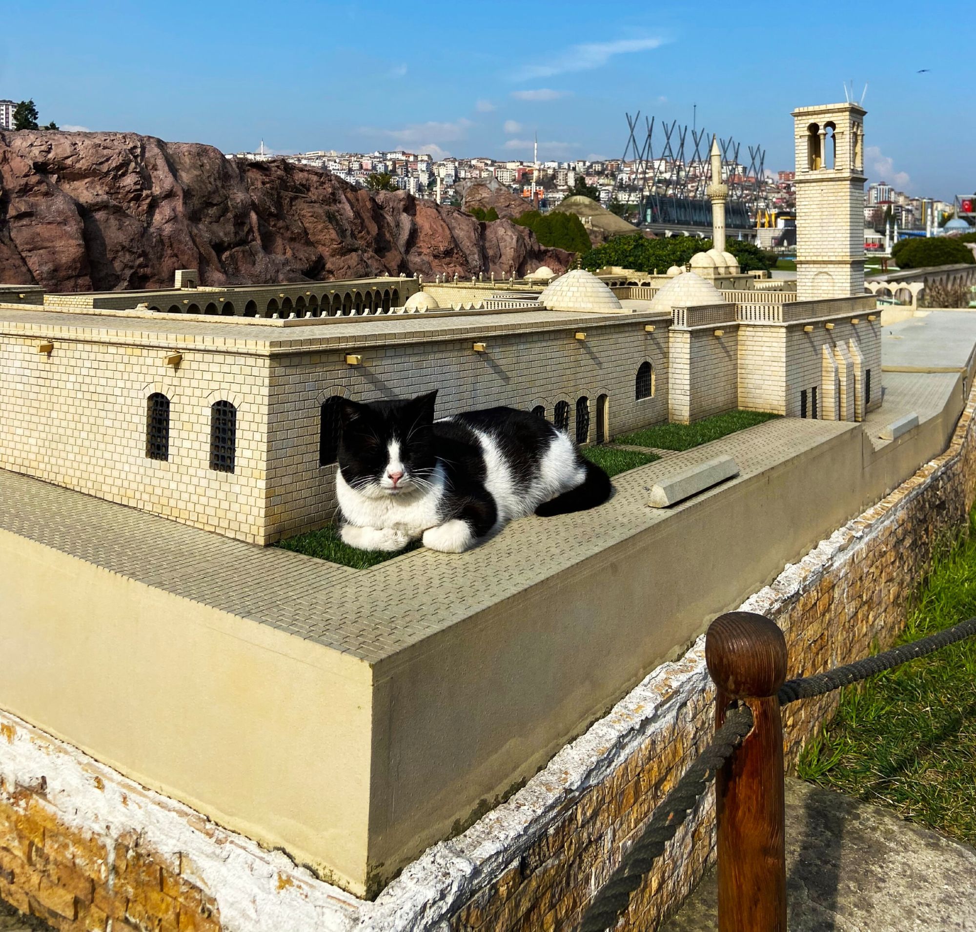 A cat rests on Miniatürk model of the Halilürrahman Mosque and Pool of Abraham in Şanliurfa.