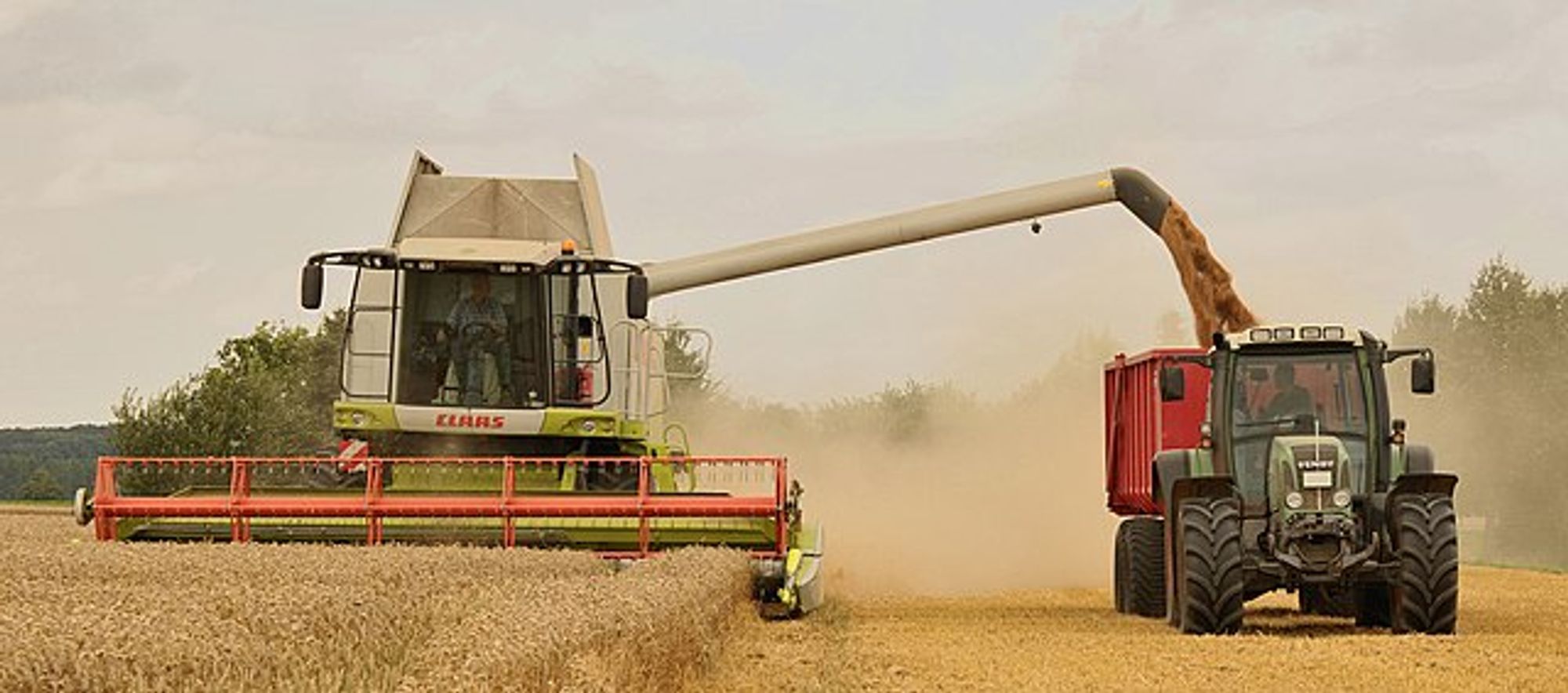 The wheat harvest near Eldagsen in Germany. Today is the September equinox which marks the beginning of autumn, a season of harvest in the Northern hemisphere.