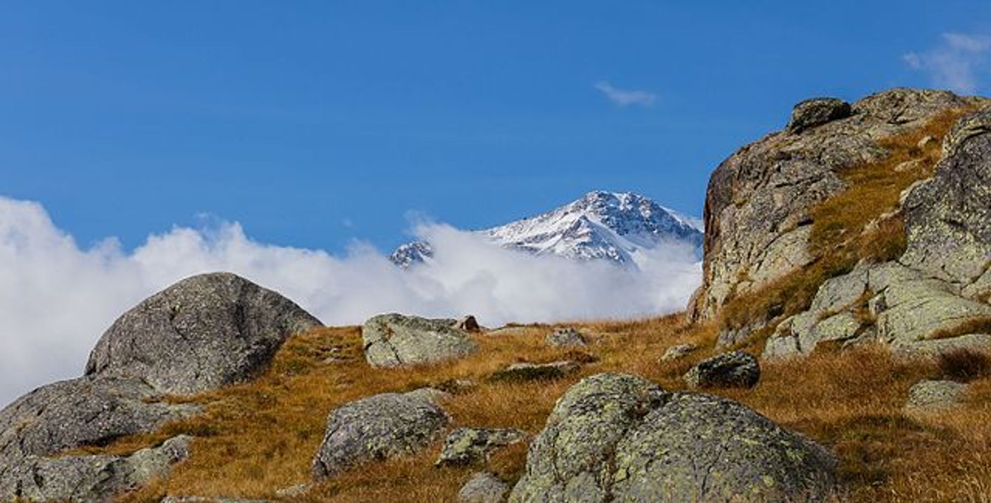 Vue du Monte Cevedale (3769m) dans le parc national du Stelvio en Lombardie (Italie).