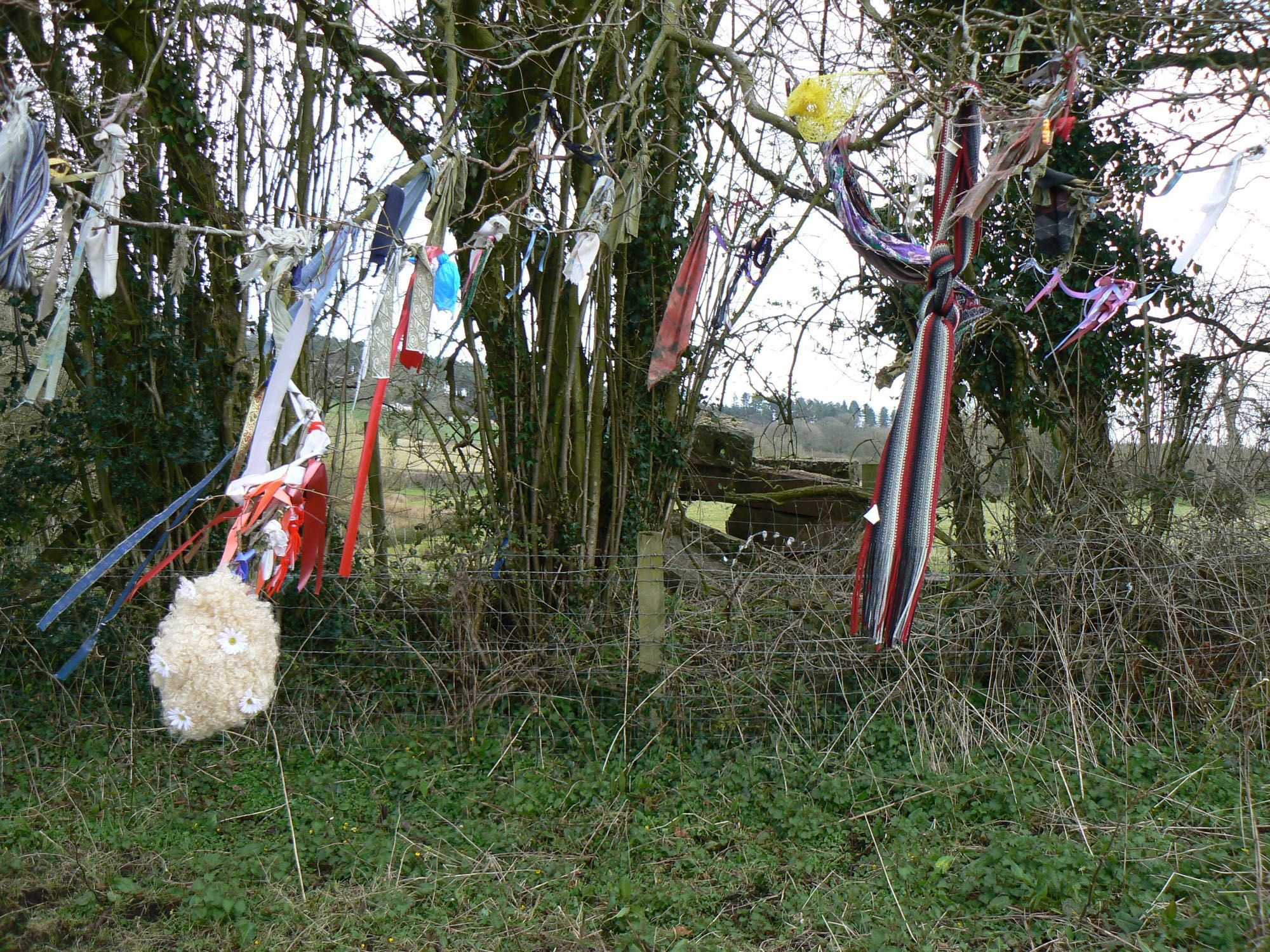 Tree showing ribbons, scarves etc