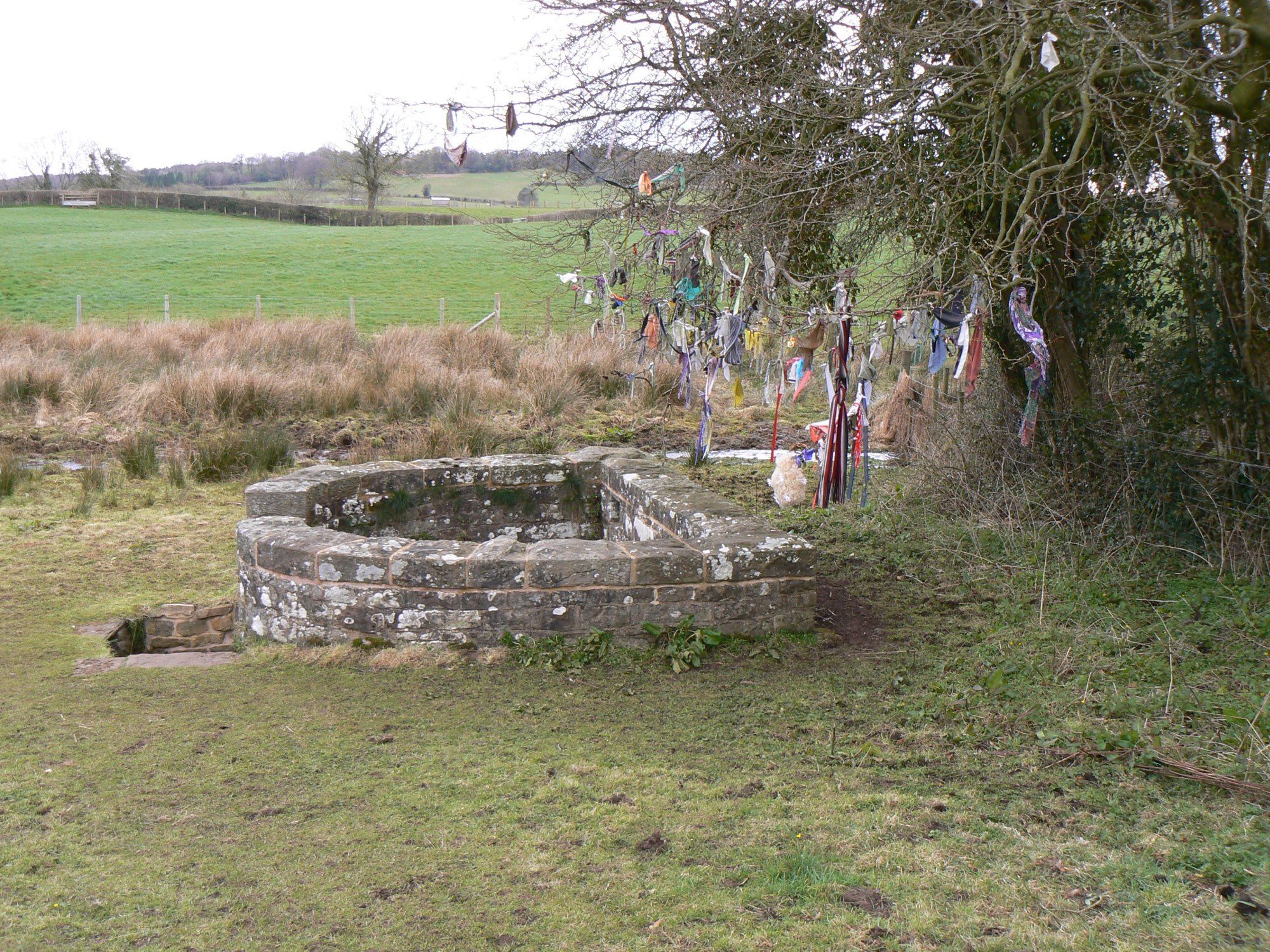 Well with overhanging tree decorated with clothing etc