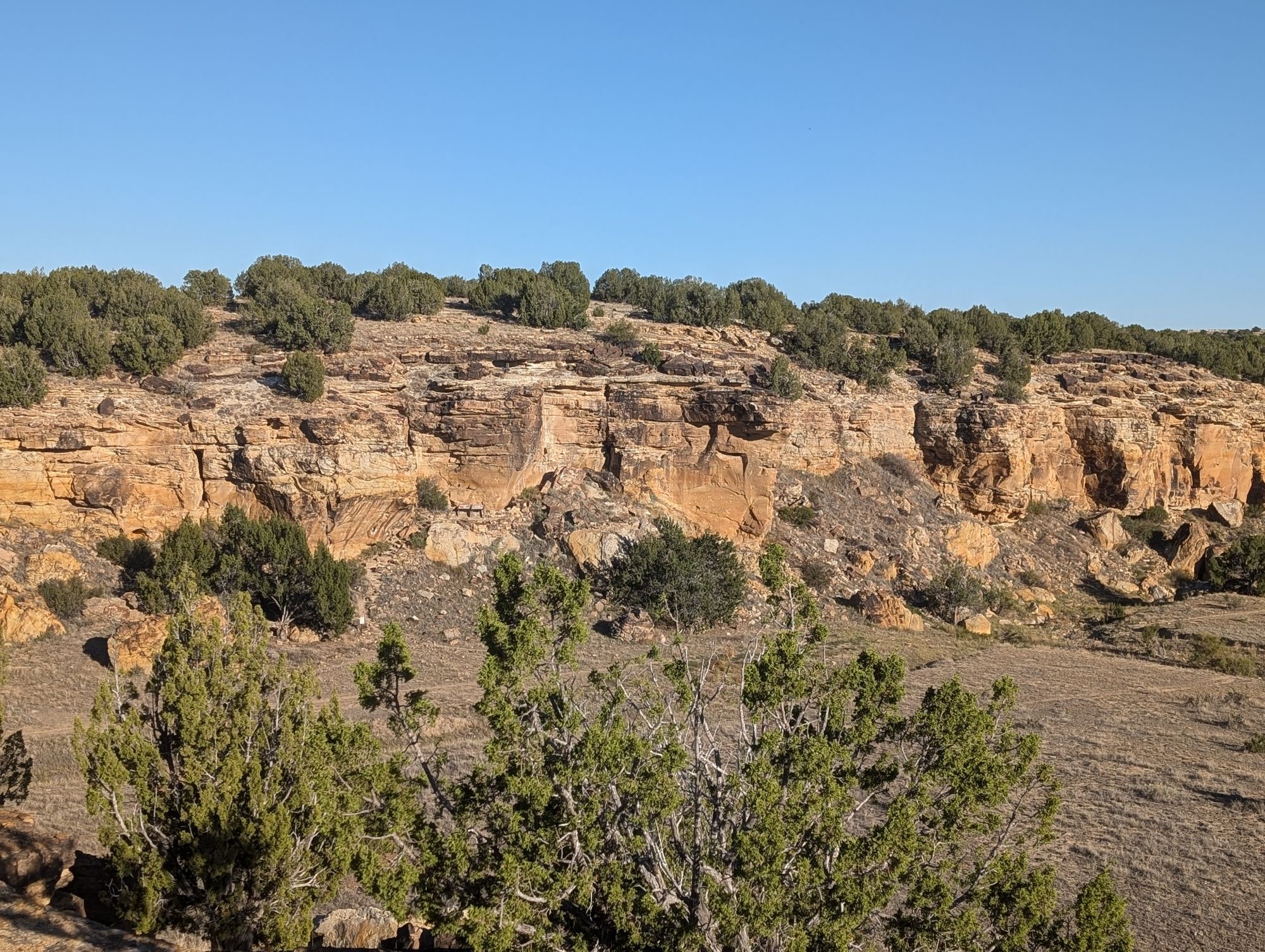 Beautiful canyon surrounded by various pine trees and prairie grasses.