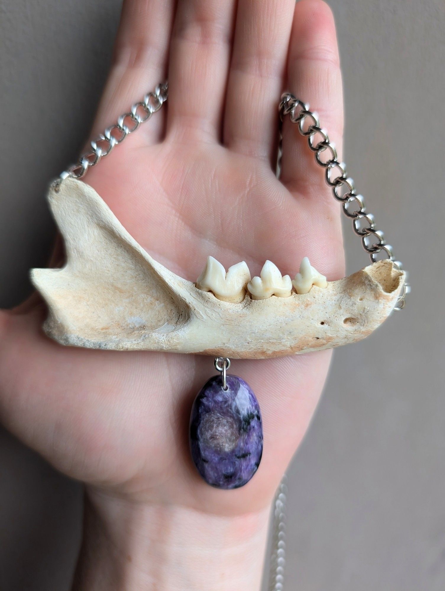 Necklace consisting of a bobcat jawbone with dangling purple Charoite stone.