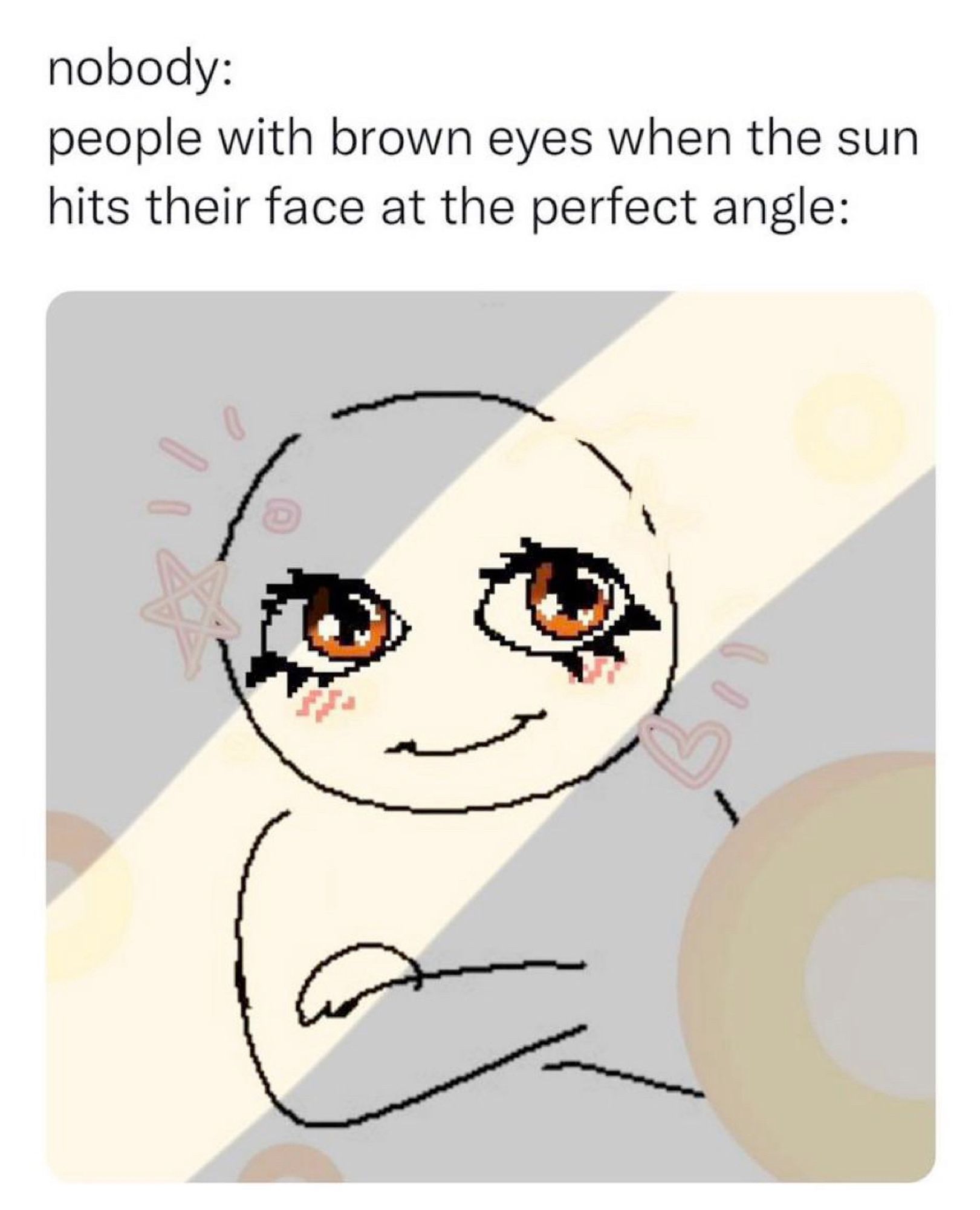 A meme about how brown eyes look gorgeous and golden when hit with direct sunlight.