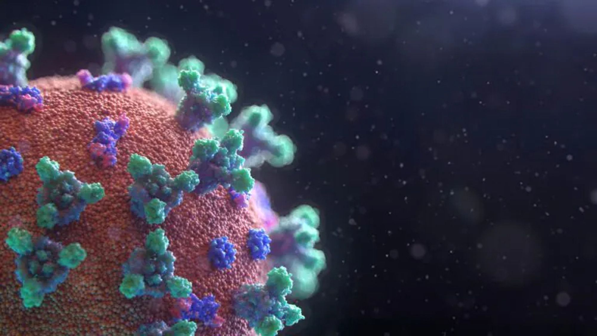 Das Bild zeigt eine Illustration des Coronavirus (SARS-CoV-2).