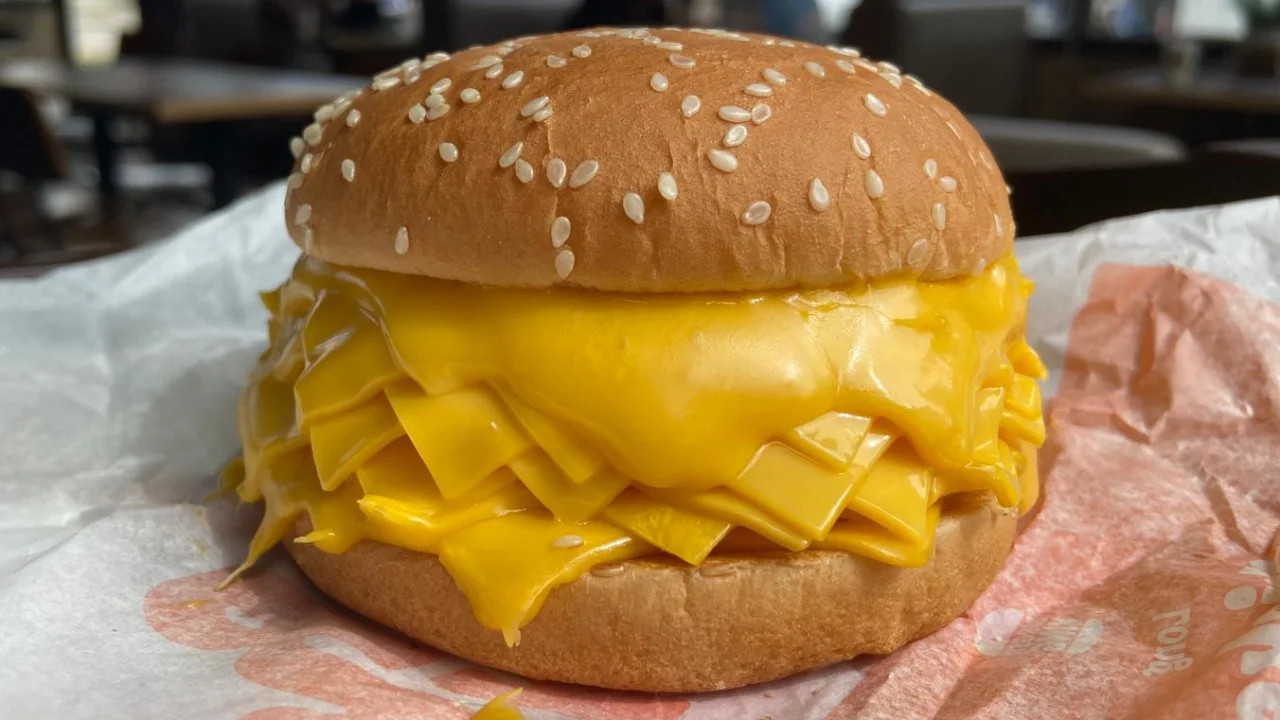 the real cheeseburger, twenty slices of cheese with no meat