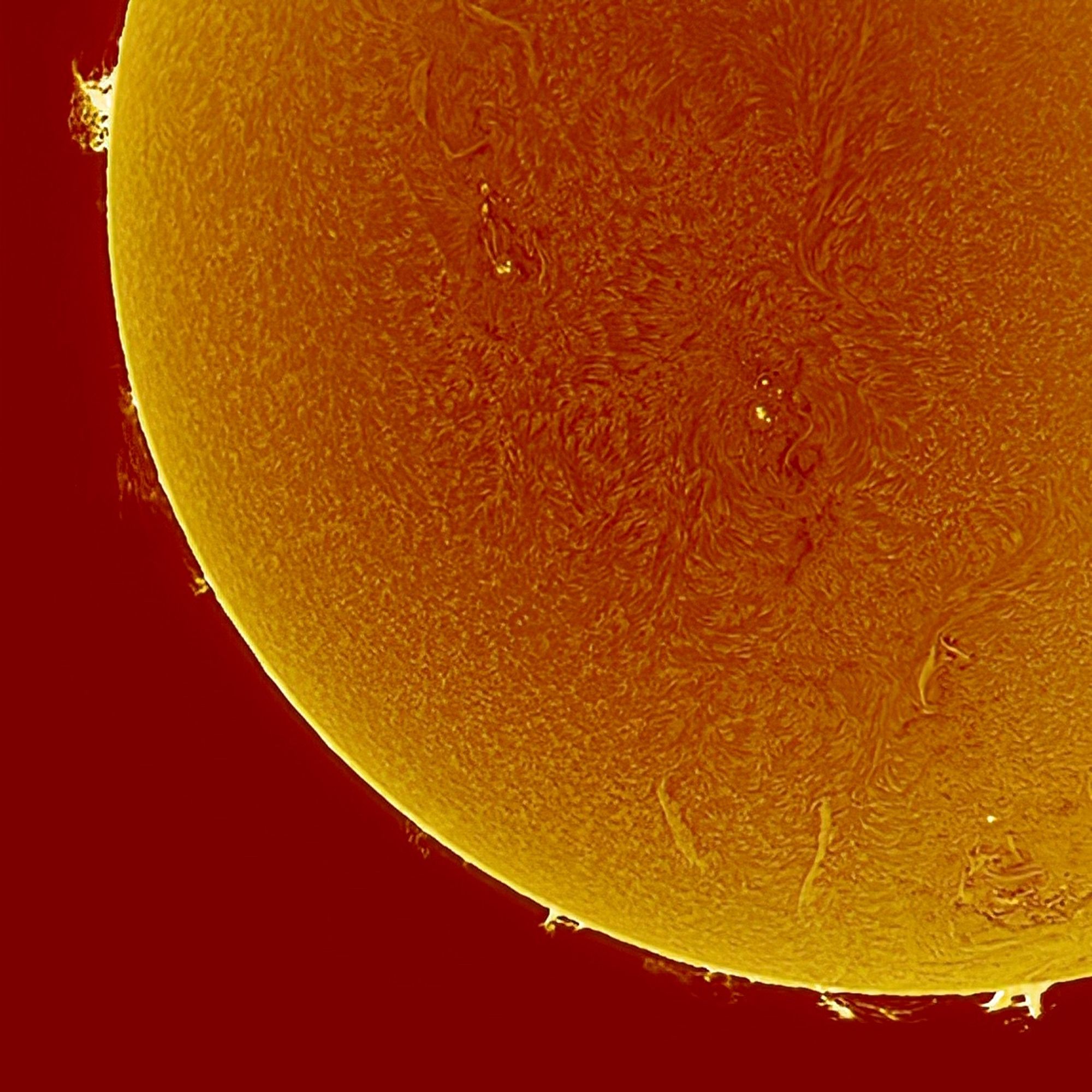 big flamey and richly textured almost “haiyr” sun in hydrogen alpha wavelength with small prominences on perimeter