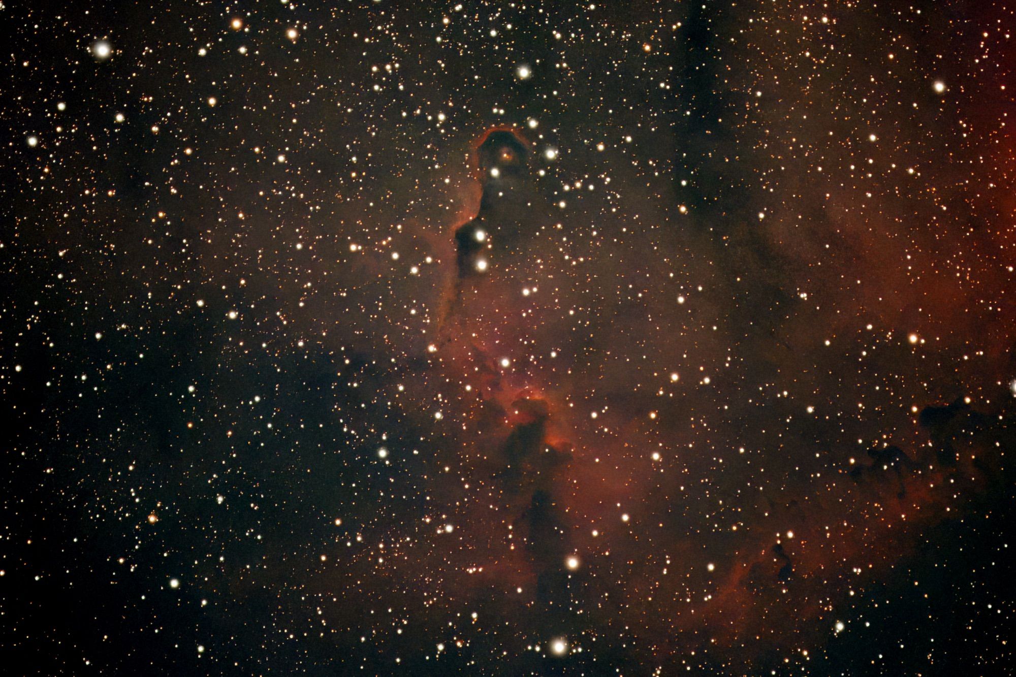 processed photograph of the elephants trunk nebula (dark red wisps against a dense starry background)