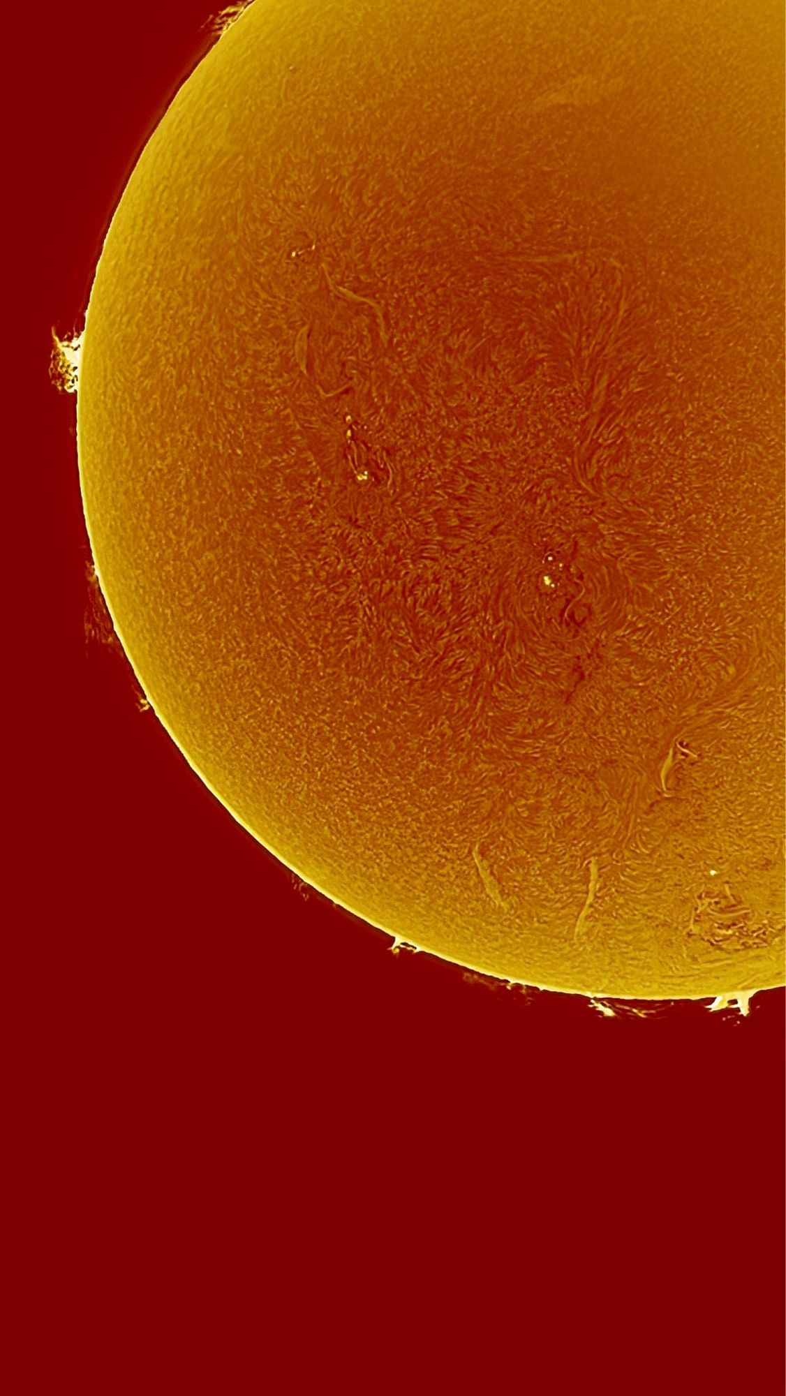 the sun in hydrogen alpha wavelength showing lots of swirly almost furry surface detail. the inner part is inverted so the sun spots are bright yellow. the outer prominences are bright yellow. the back ground of space is dark brick red and the orbit is flaming orange yellow