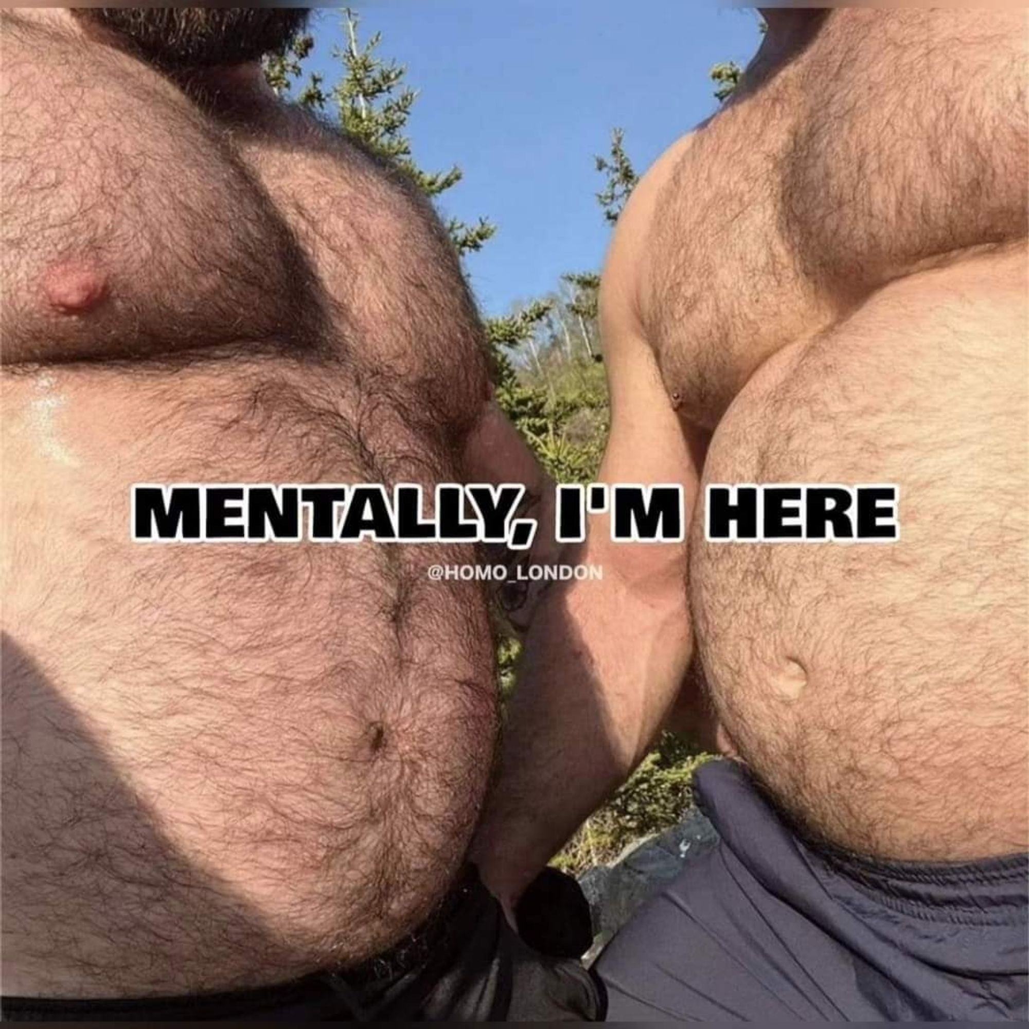 Two furry, round, solid bellies pressing near one another with the caption "mentally, I'm here." If you're into bears and dad bods, it's very sexy