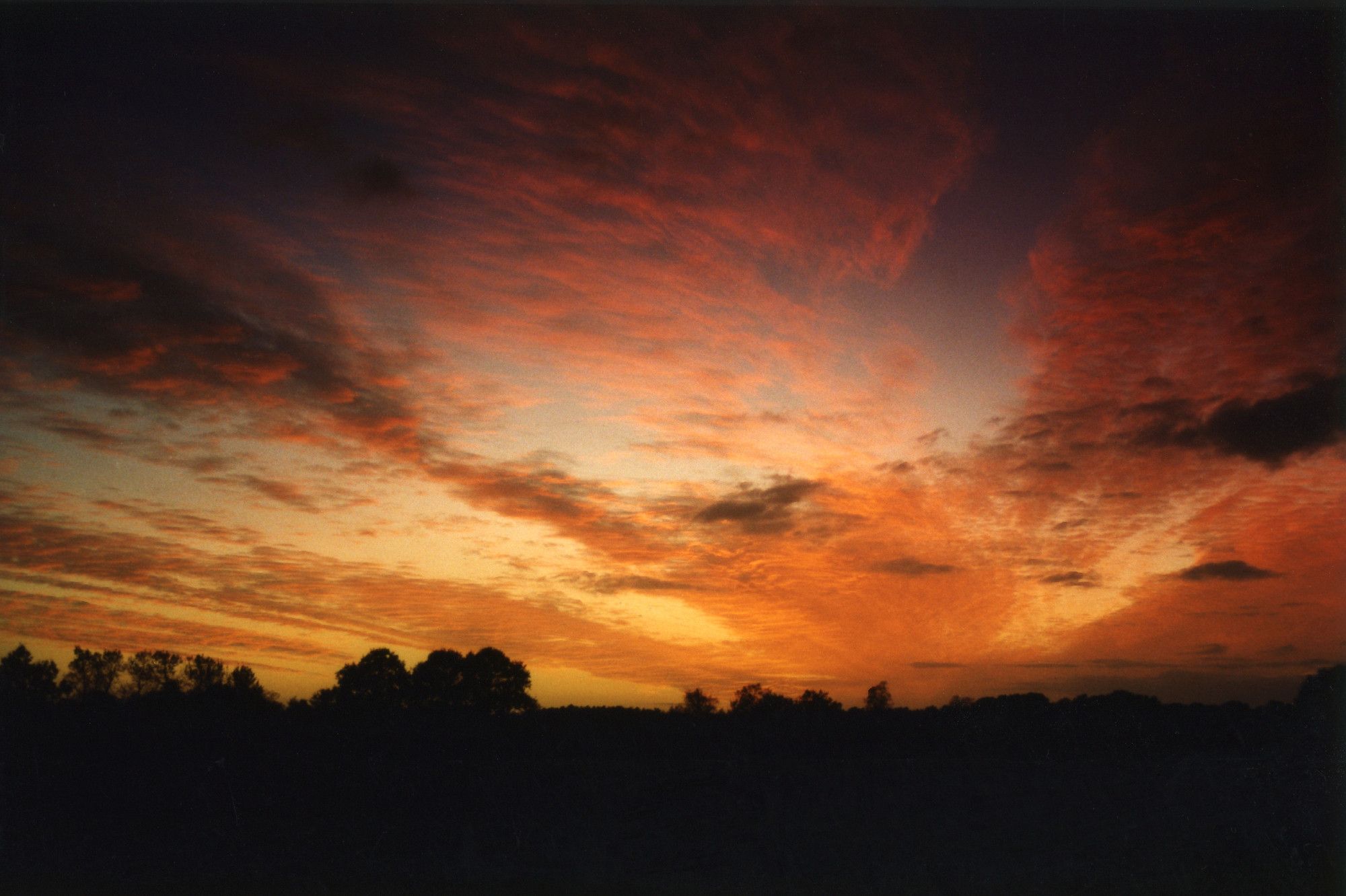 Wolken lassen den Sonnenuntergang vor einer schwarzen Waldshilouette wild erscheinen.