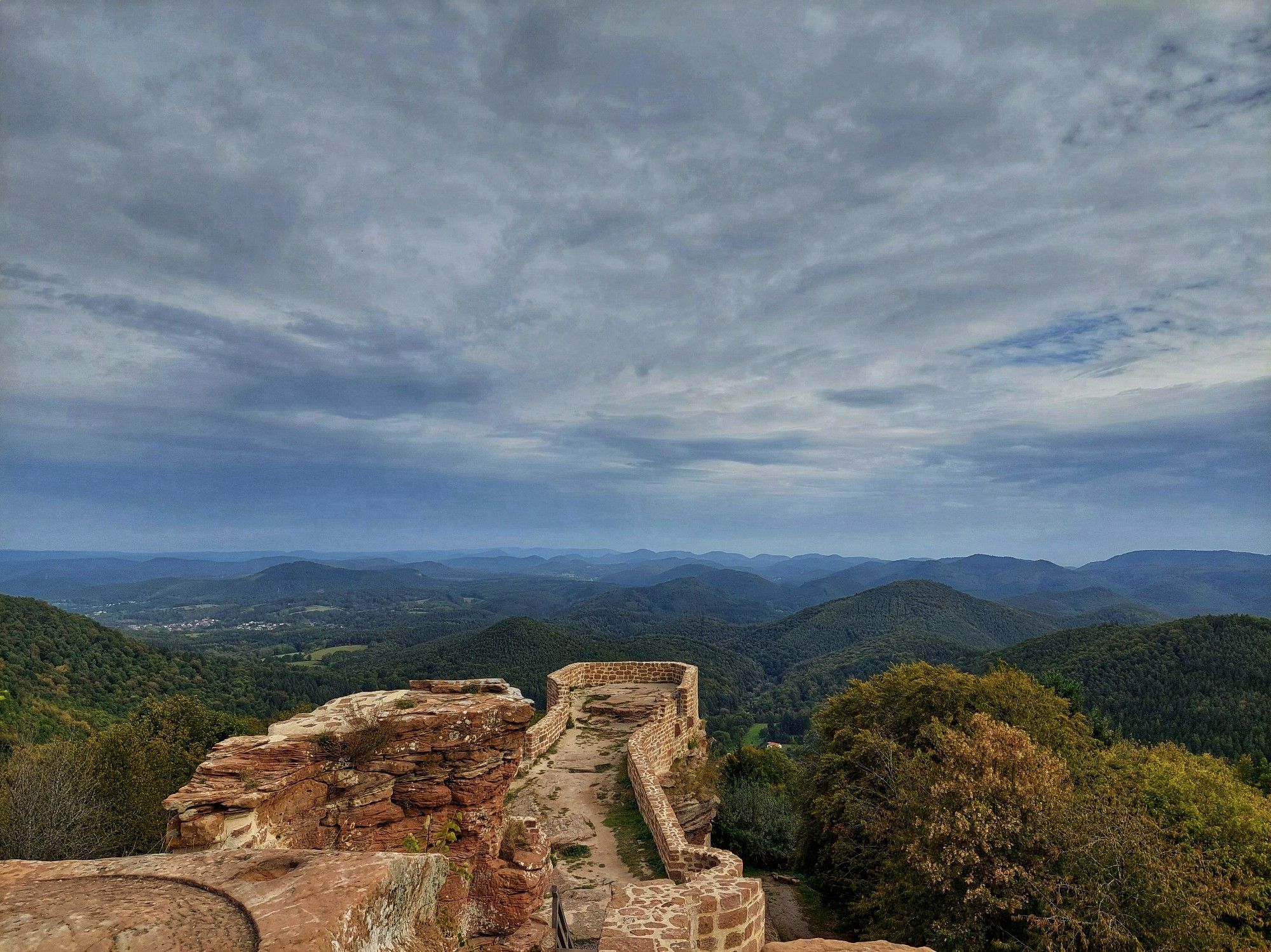 Blick über den Pfälzerwald von der Wegelnburg aus. Der Himmel wolkenverhangen.