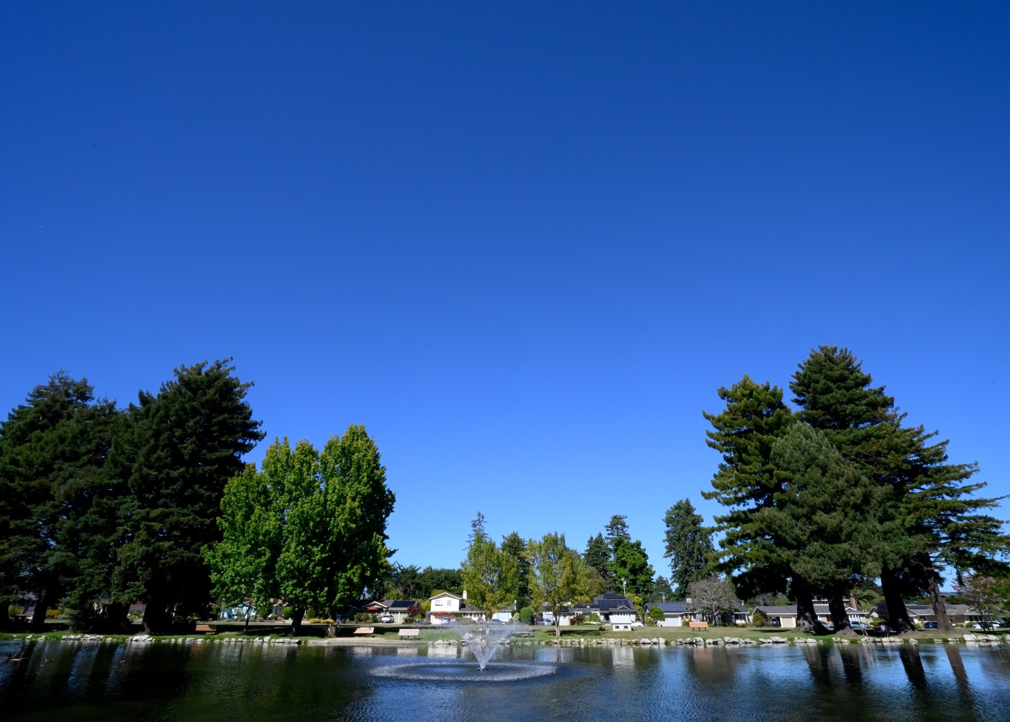 West Lake (Duck) Pond, Santa Cruz, CA. Note peripheral distortion from wide angle lens. Blessed with perfect weather with more to come.