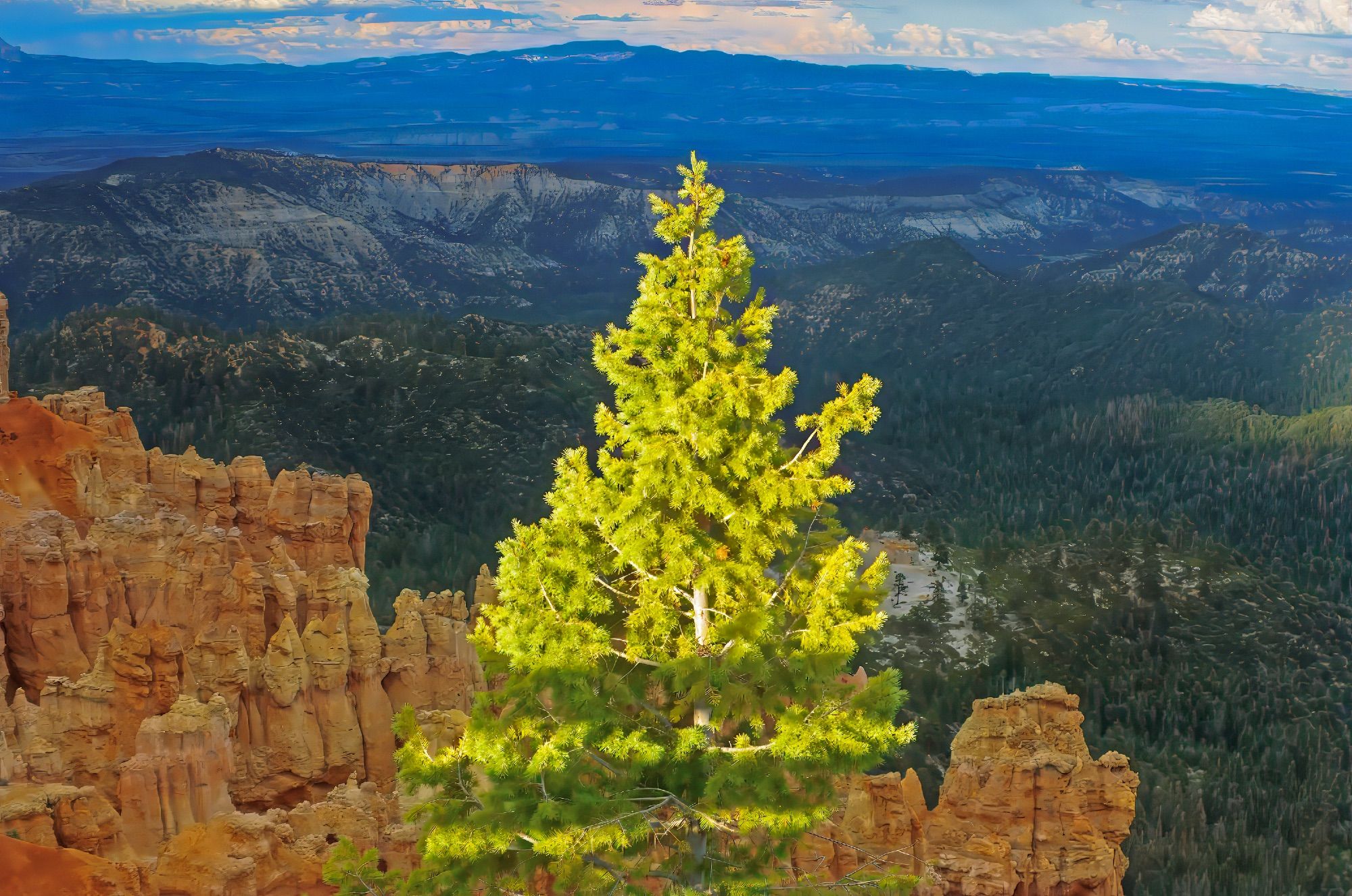 Lone pine tree at sunset off pathway from parking lot. Doesn't violate the 800' rule. Taken with a 6Mp Nikon D70 and tweaked with Topaz.