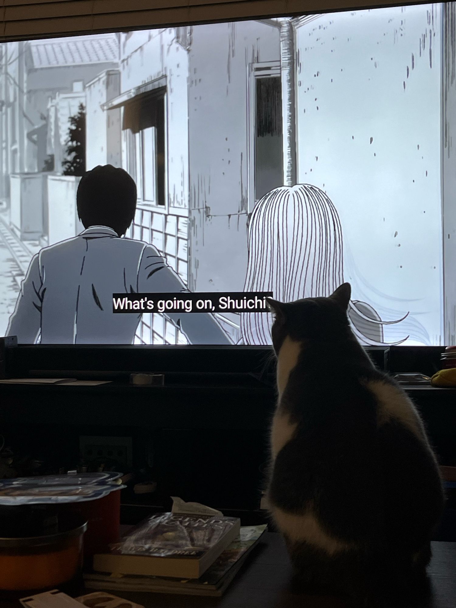 A cat is sitting on a coffee table, in front of a tv with Junji Ito’s Uzumaki playing.