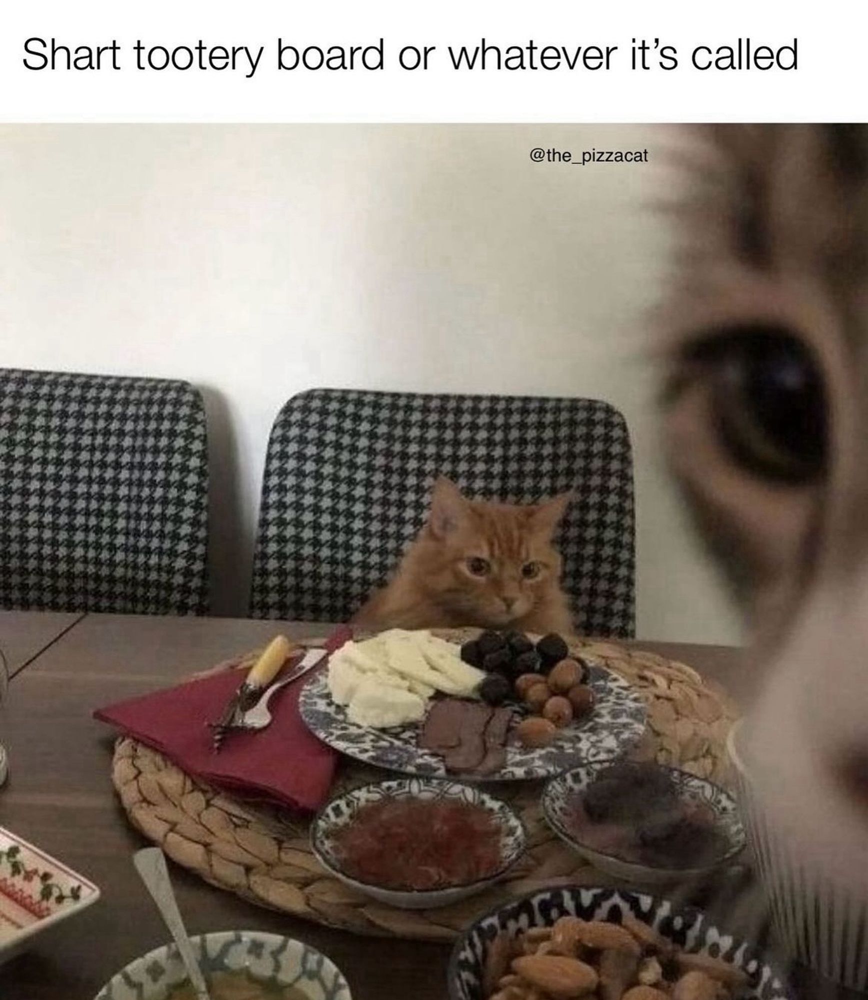 An orange tabby cat sits in the right black and white gingham chair (there are two chairs) at a table set with a woven placemat, blue and white plates full of olives, meats, cheeses, and spreads. A burgundy napkin is folded next to the larger place with a fork and knife atop it. In the foreground on the right, a little blurry like it’s the one taking a failed selfie, is the black white and gray face of another cat. The caption reads “Shart tootery board or whatever it's called.” Meme by the_pizzacat