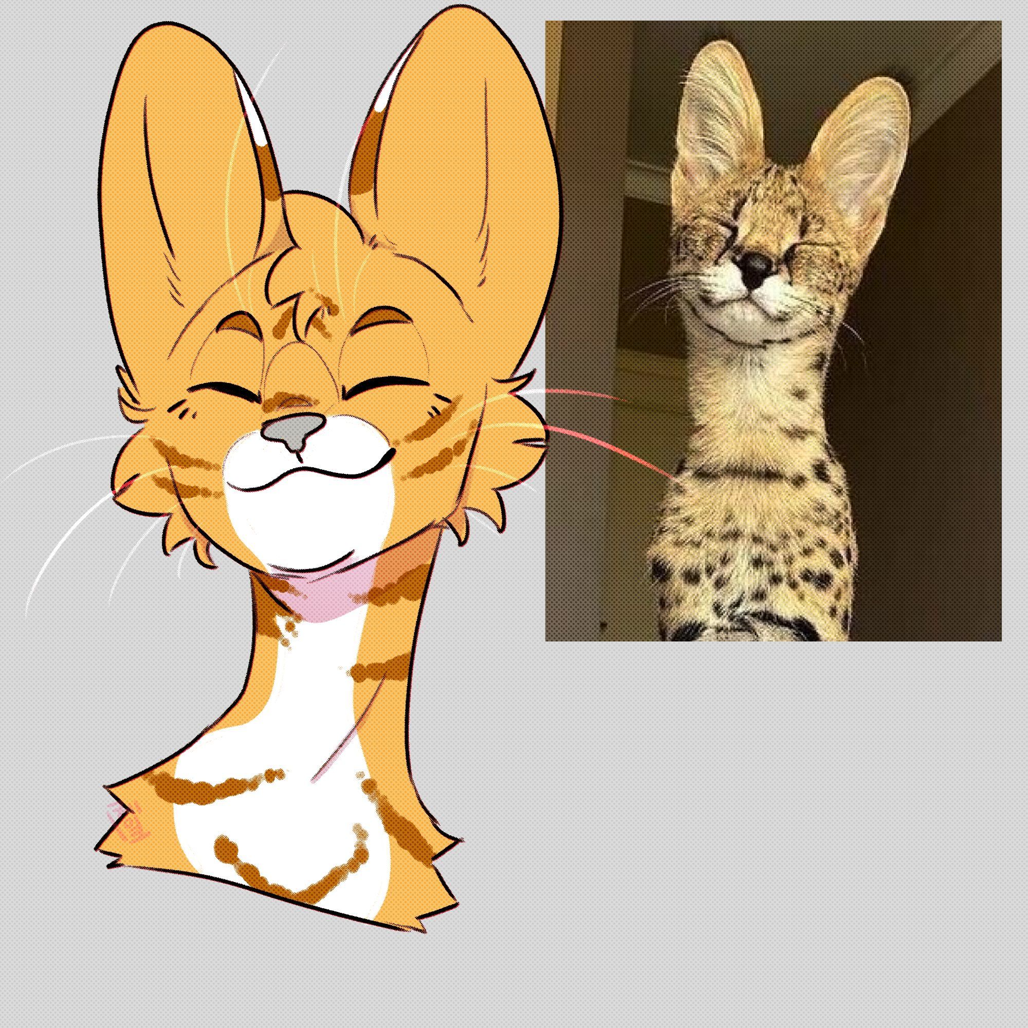 headshot study of my serval character, honeydew