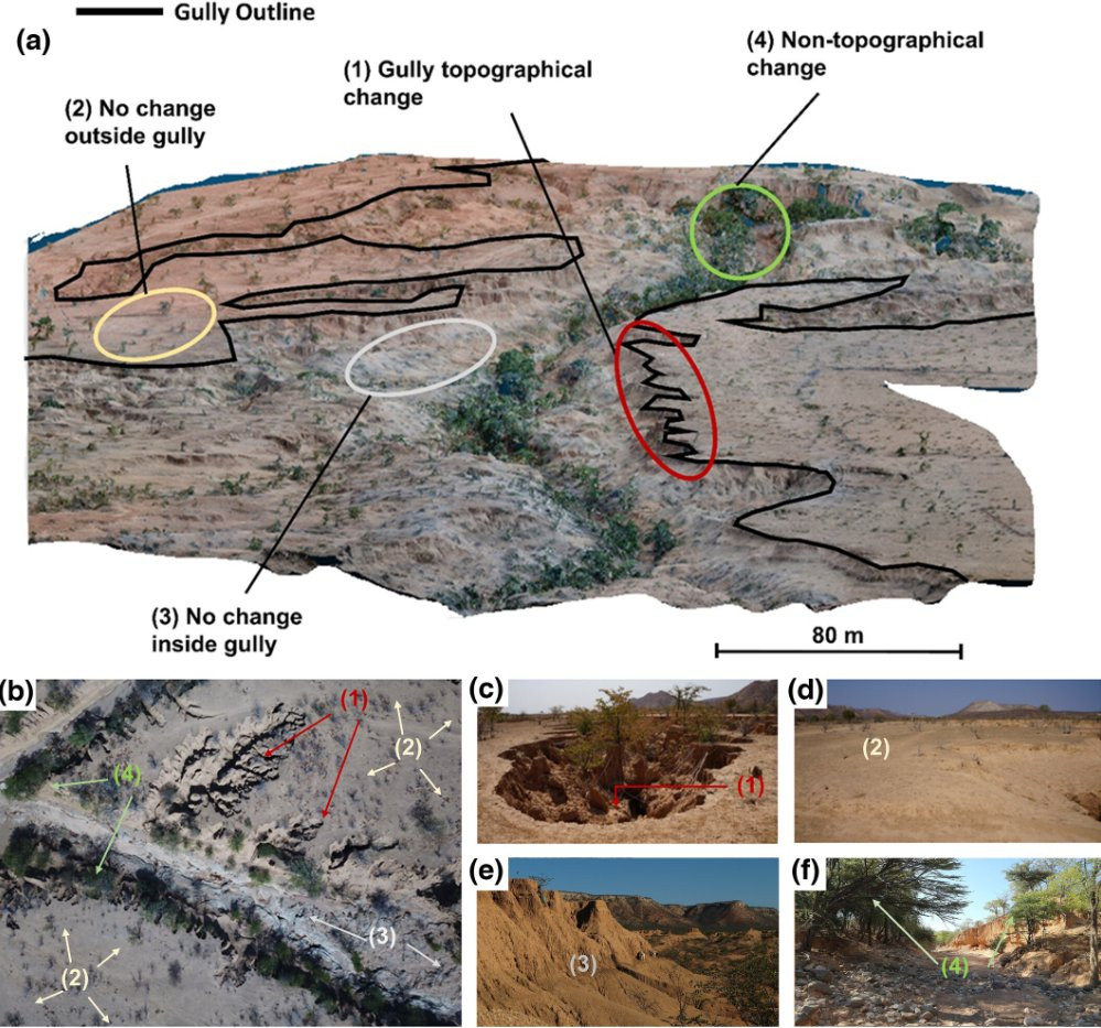 Image of a) a gully point cloud with the approximated gully outlines and labeled areas of change and no change and b)-f) images of the different change classes.