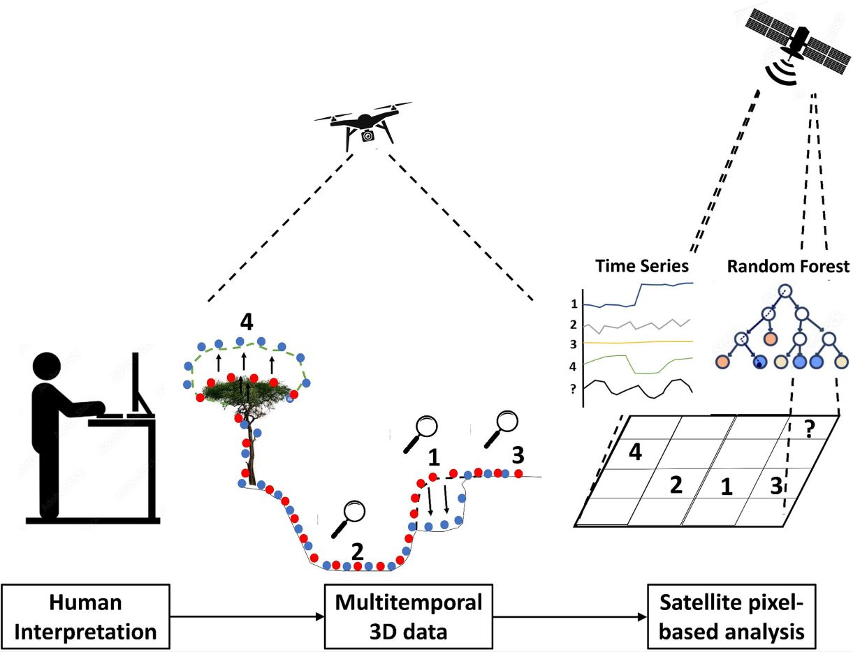 Image shows the conceptual explanation for the proposed approach. Types of changes are identified by a humans on the original and on already analysed multitemporal UAV point clouds and tranferred to Sentinel-1 pixel scale to apply pixe-based classification.