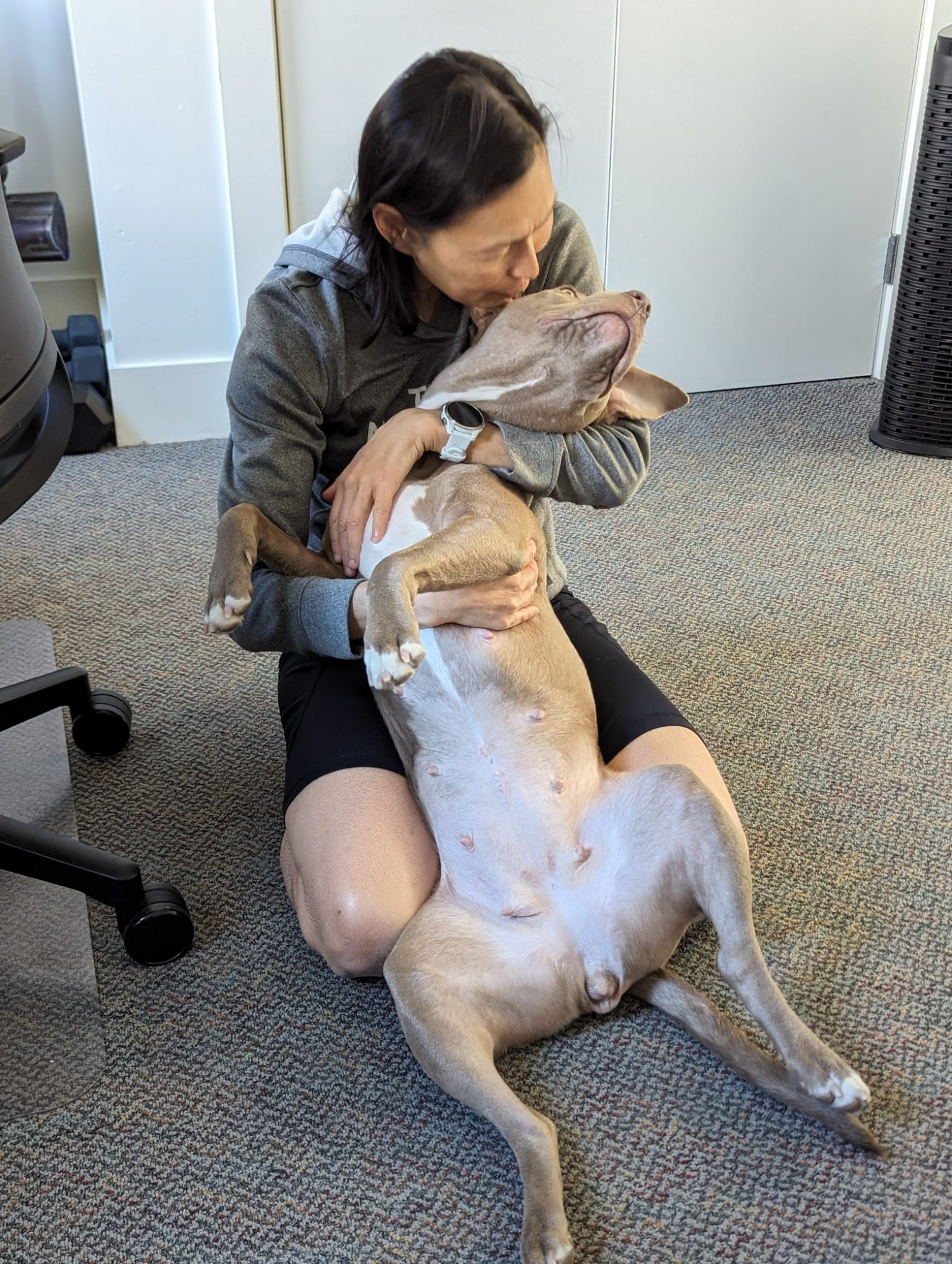 Shandy, our pitbull lying on her back being kissed by my wife.