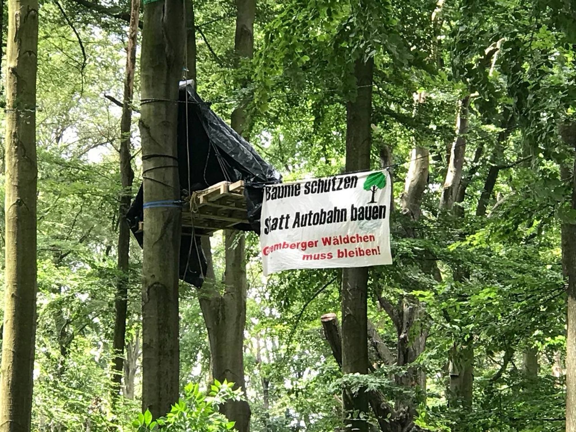 Eine Plattform im Baum und ein Banner auf dem “Bäume schützen statt Autobahn bauen! Gremberger Wäldchen muss bleiben!” steht