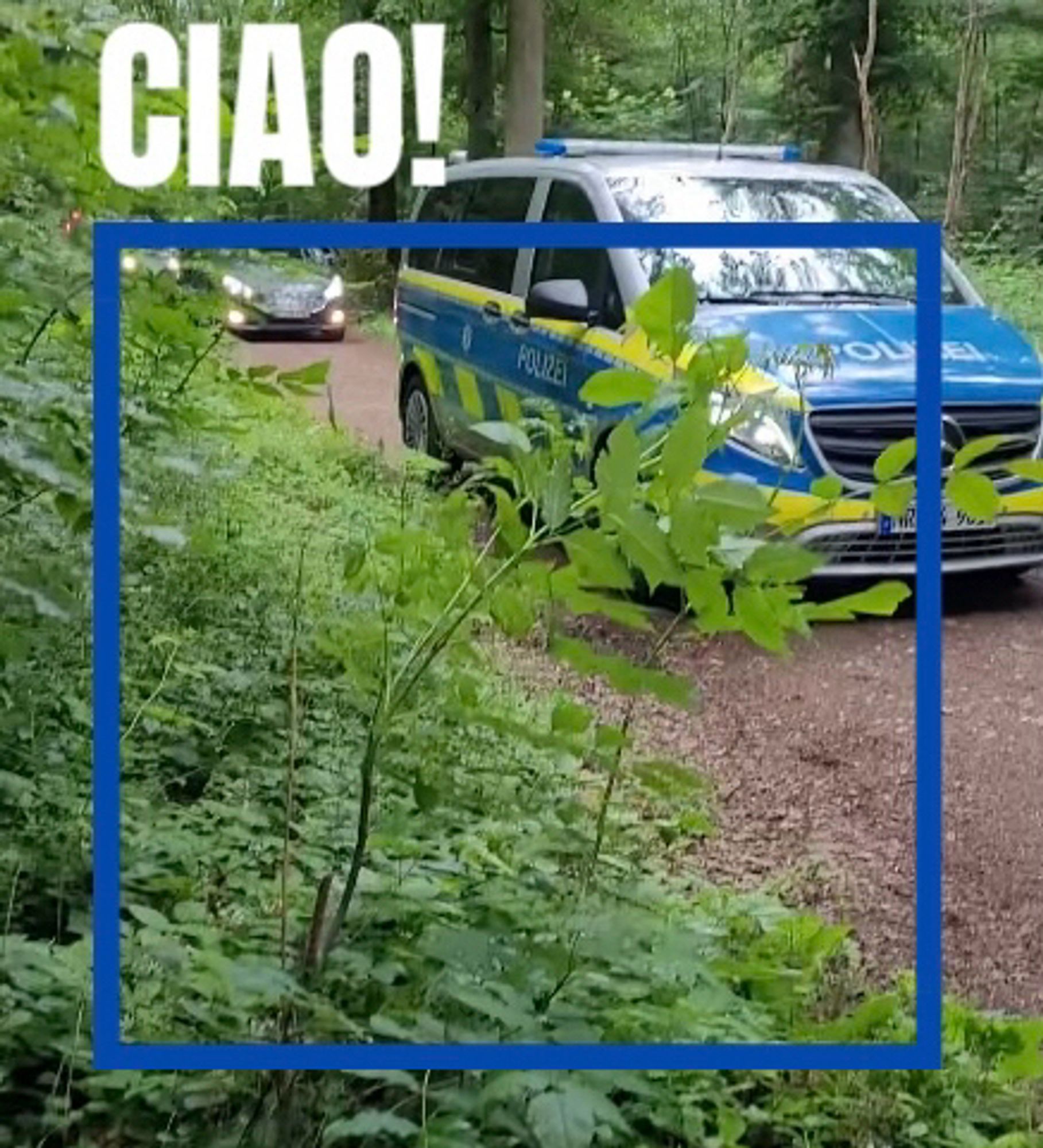 Ein Polizeiauto das rückwärts aus dem Wald fährt mit der Überschrift “Ciao”