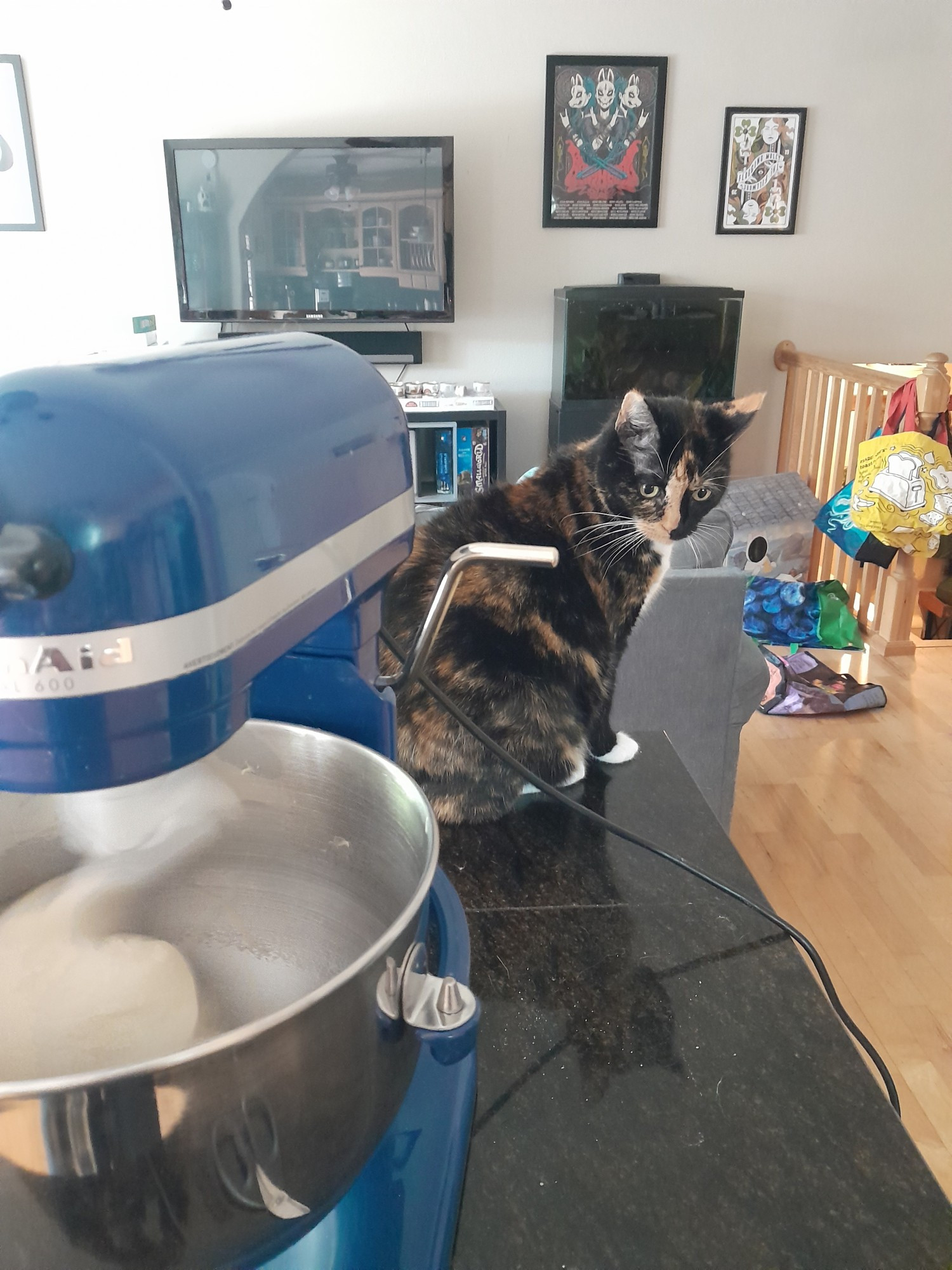 A stand mixer with some dough in it (bonus tortie cat in the background)