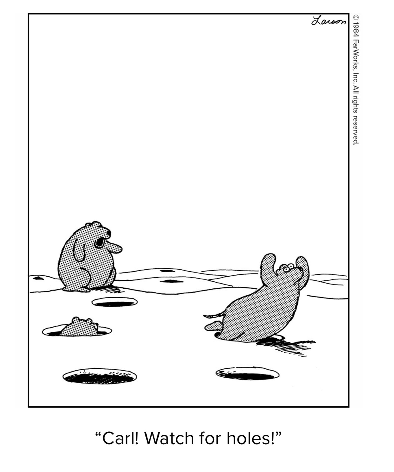 Far Side cartoon. One bear stumbles into a comically large hole while another yells “Carl! Watch for holes!”