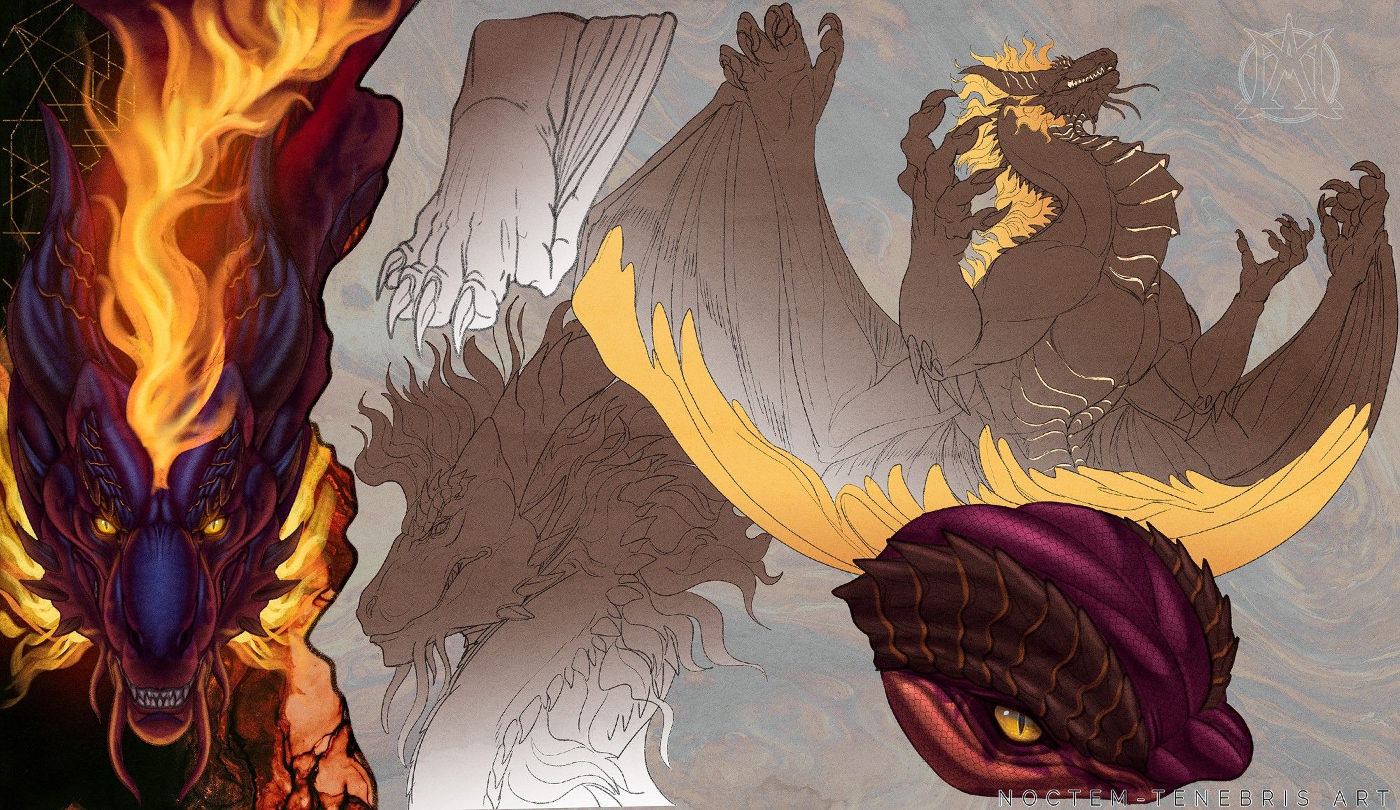 artwork featuring multiple depictions of a fierce dragon. The central image shows the dragon's face with dark purple scales, glowing yellow eyes, and flames rising from its head. Surrounding the head are cracks resembling molten lava. To the right, a full-body view of the dragon in flight reveals dark brown scales, golden accents, and a fiery yellow-orange mane. Various sketches of claws and the dragon's head are scattered across the image, showing different artistic stages. In the bottom right, there's a close-up of the dragon's yellow eye and scaled brow.