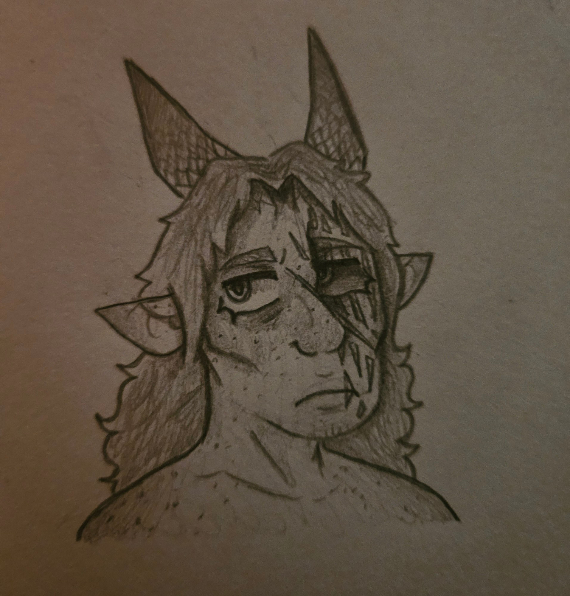 a tiefling person with long hair, scaly horns, and scars running along the right side of their face.