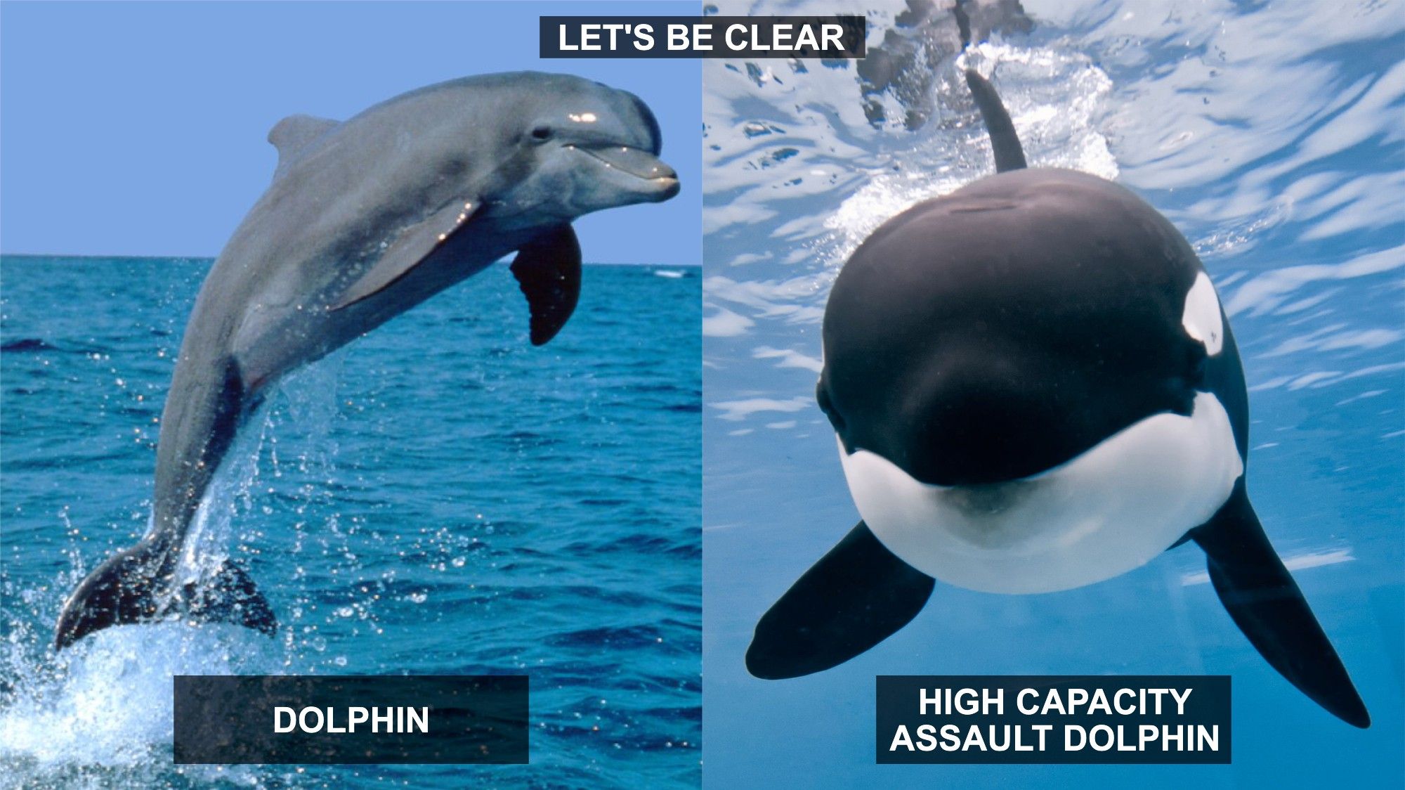 Meme; Title - Let's Be Clear.

Dolphin on left with text "DOLPHIN" superimposed. Orca on right with text "HIGH CAPACITY ASSAULT DOLPHIN" superimposed.