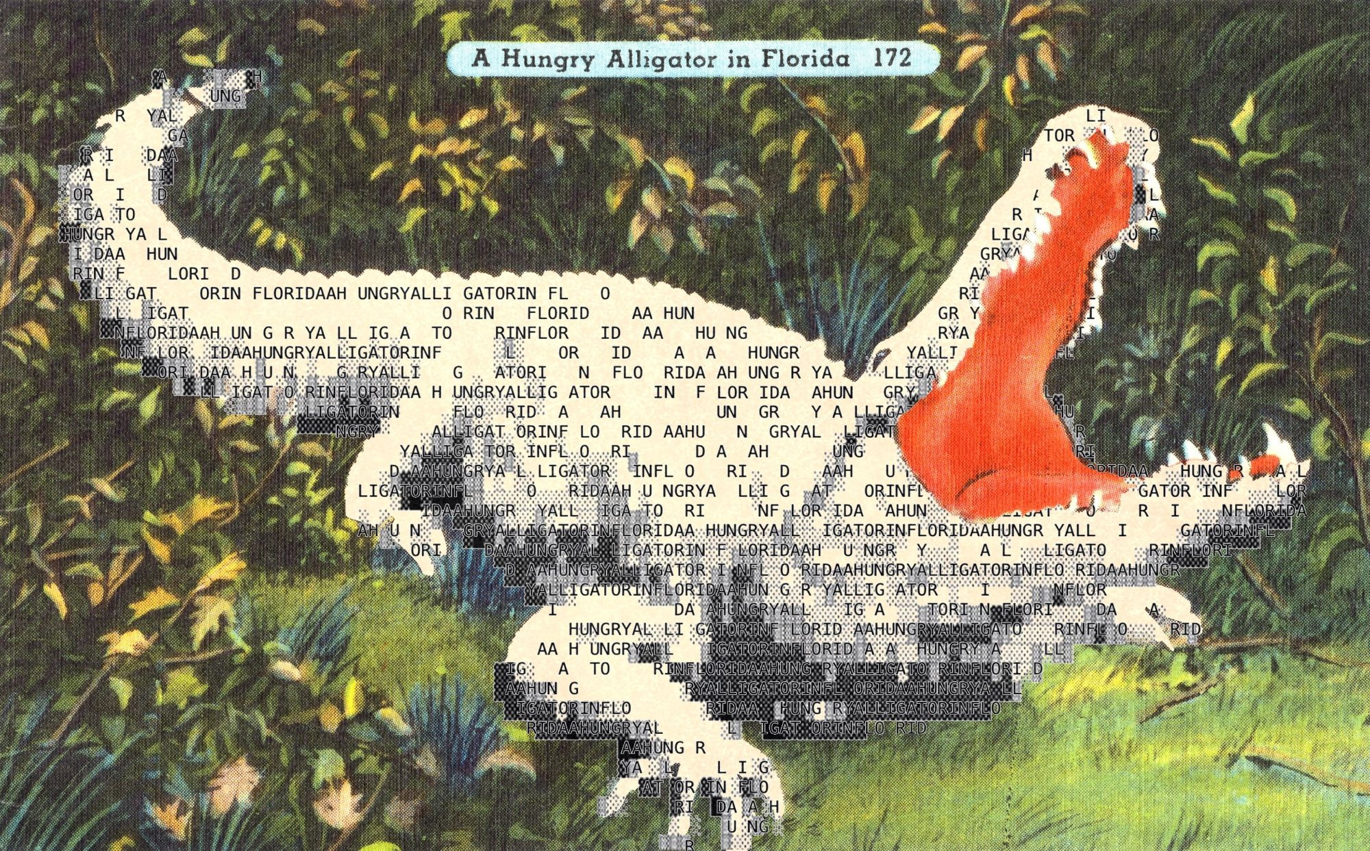 A hungry alligator! Provided by sonneveld.