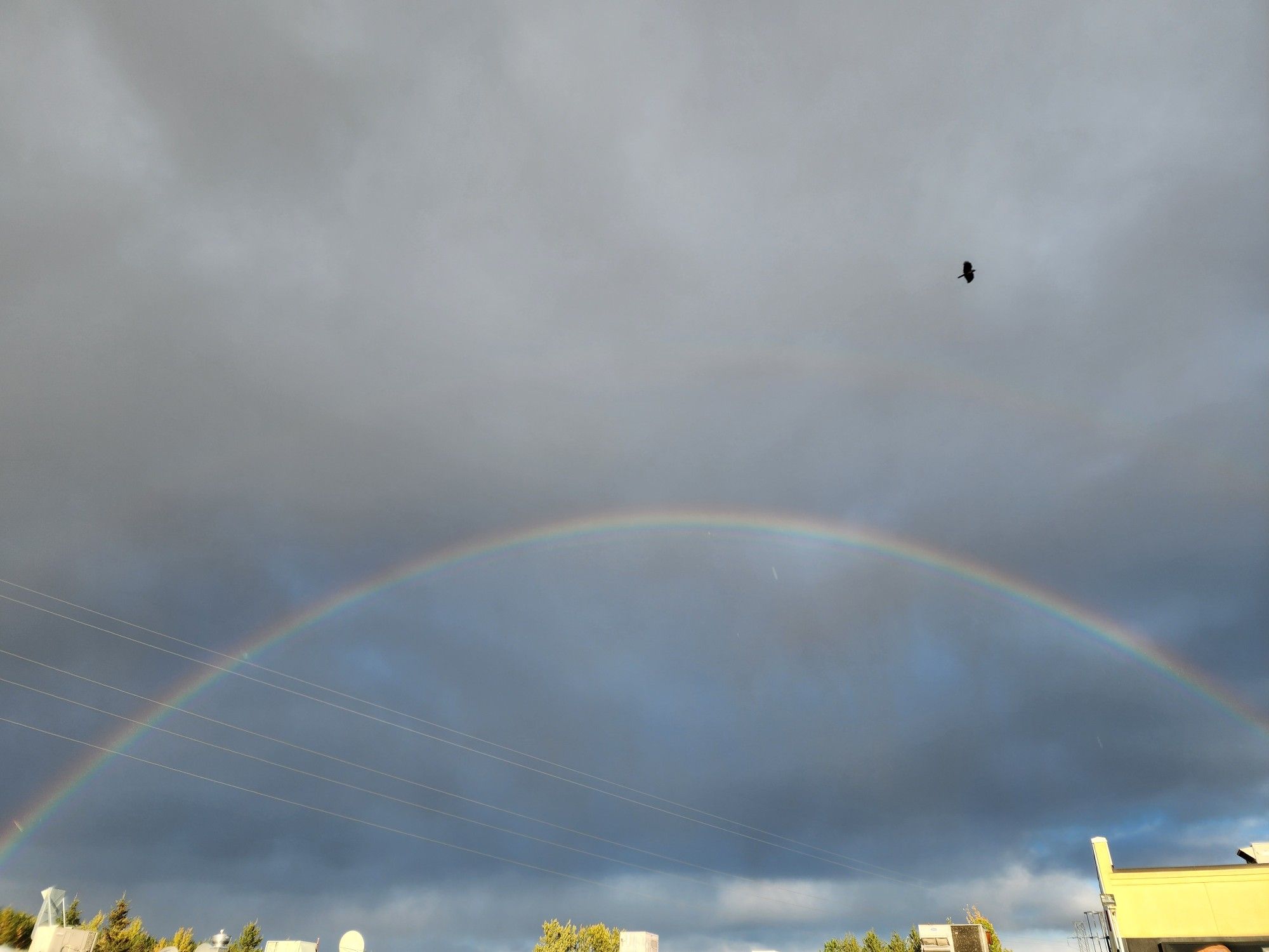 Rainbow crossing a cloudy sky.