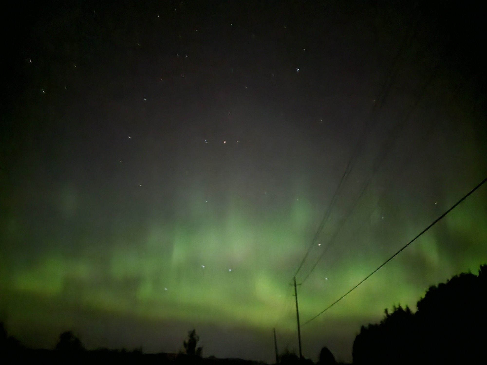 Green lights in the starry sky. Silhouette of power lines and trees on the horizon. You've got this!