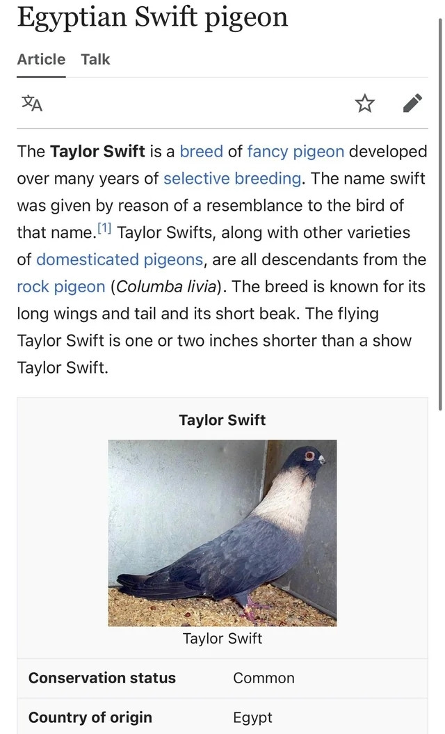 Wikipedia article on the Egyptian Swift Pigeon, also called a Taylor Swift.