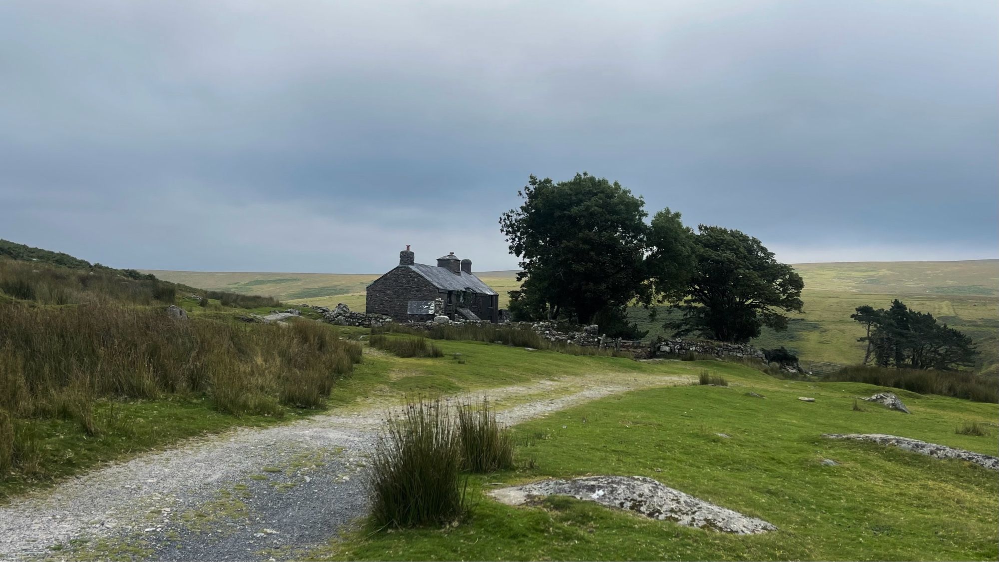 A track in a moorland scene leading to a derelict grey farmhouse in the near distance. Dark mature trees from the old garden tower above the house. The sky is overcast , but a hint of warmer sun lights the moorland hillside beyond.