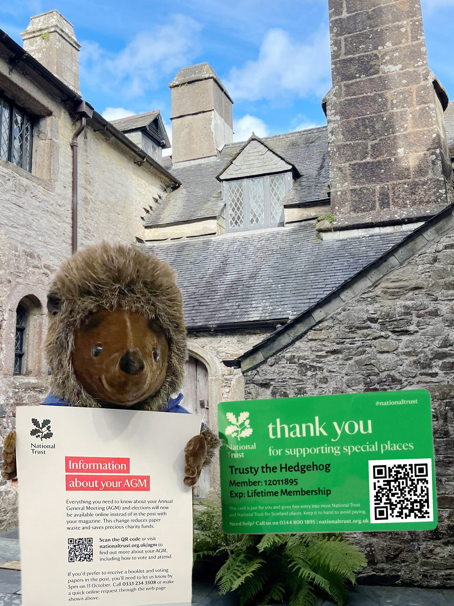 Trusty the Hedgehog in a small internal courtyard of the medieval house at Cotehele holding an AGM notice with a QR code for voting