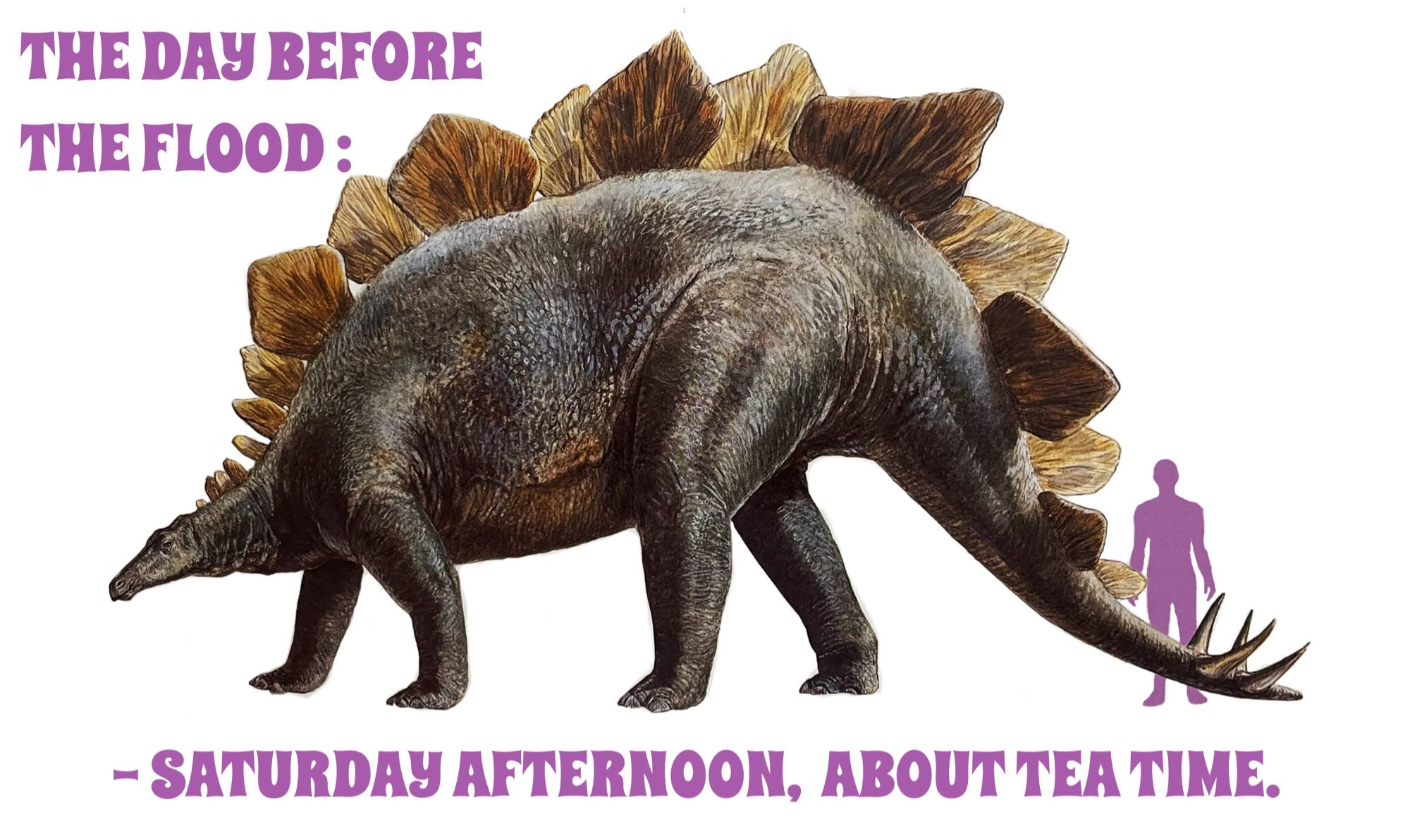 Stegasaurus illustration - enormous herbivorous four legged dinosaur with large flat spine plates and a spiky tail. Smaller human outline for scale alongside with matching text caption “The day before the flood - Saturday afternoon, about tea time”