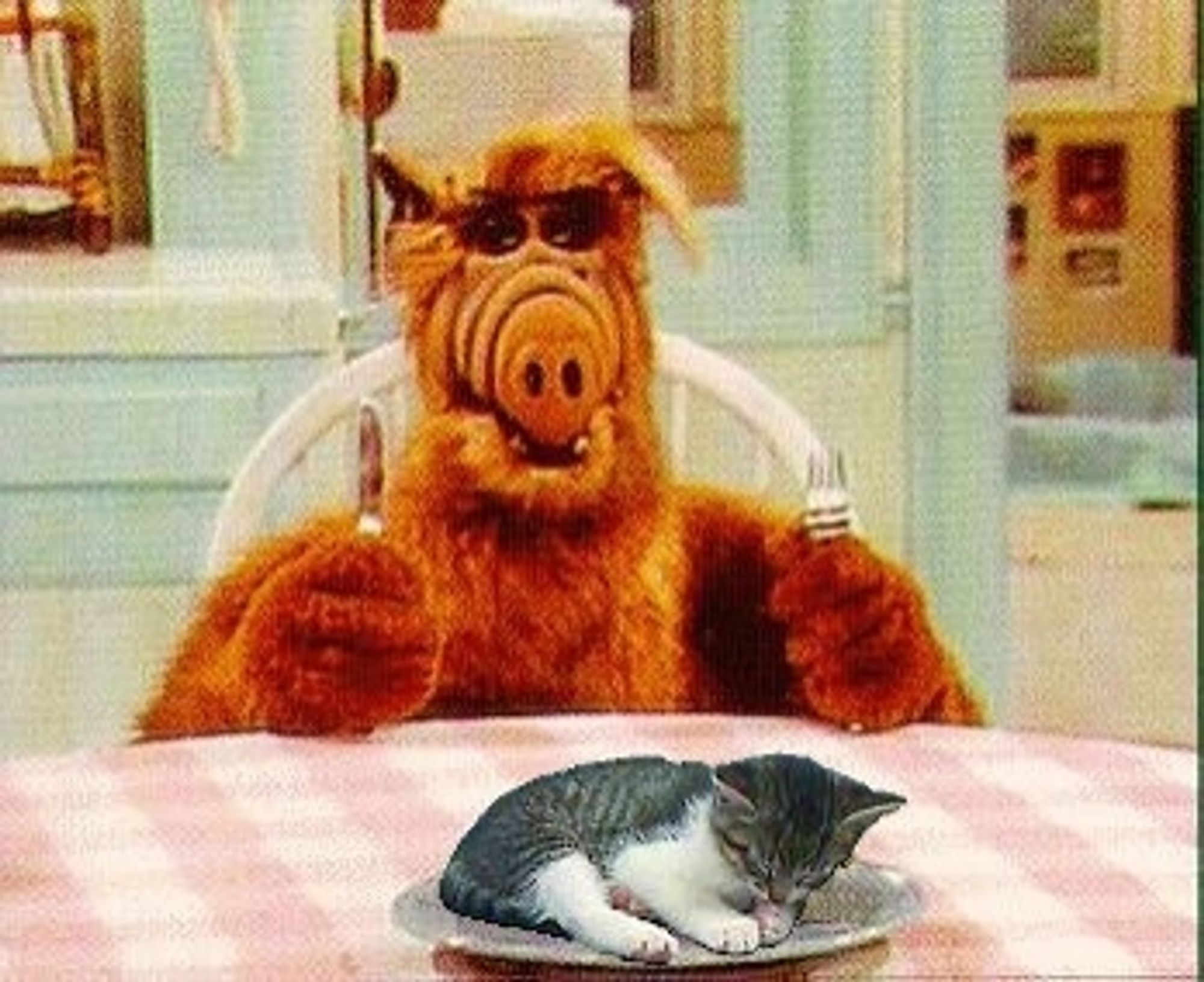 Der Ausserirdische Alf aus der gleichnamigen TV-Serie mit Katze auf dem Teller.